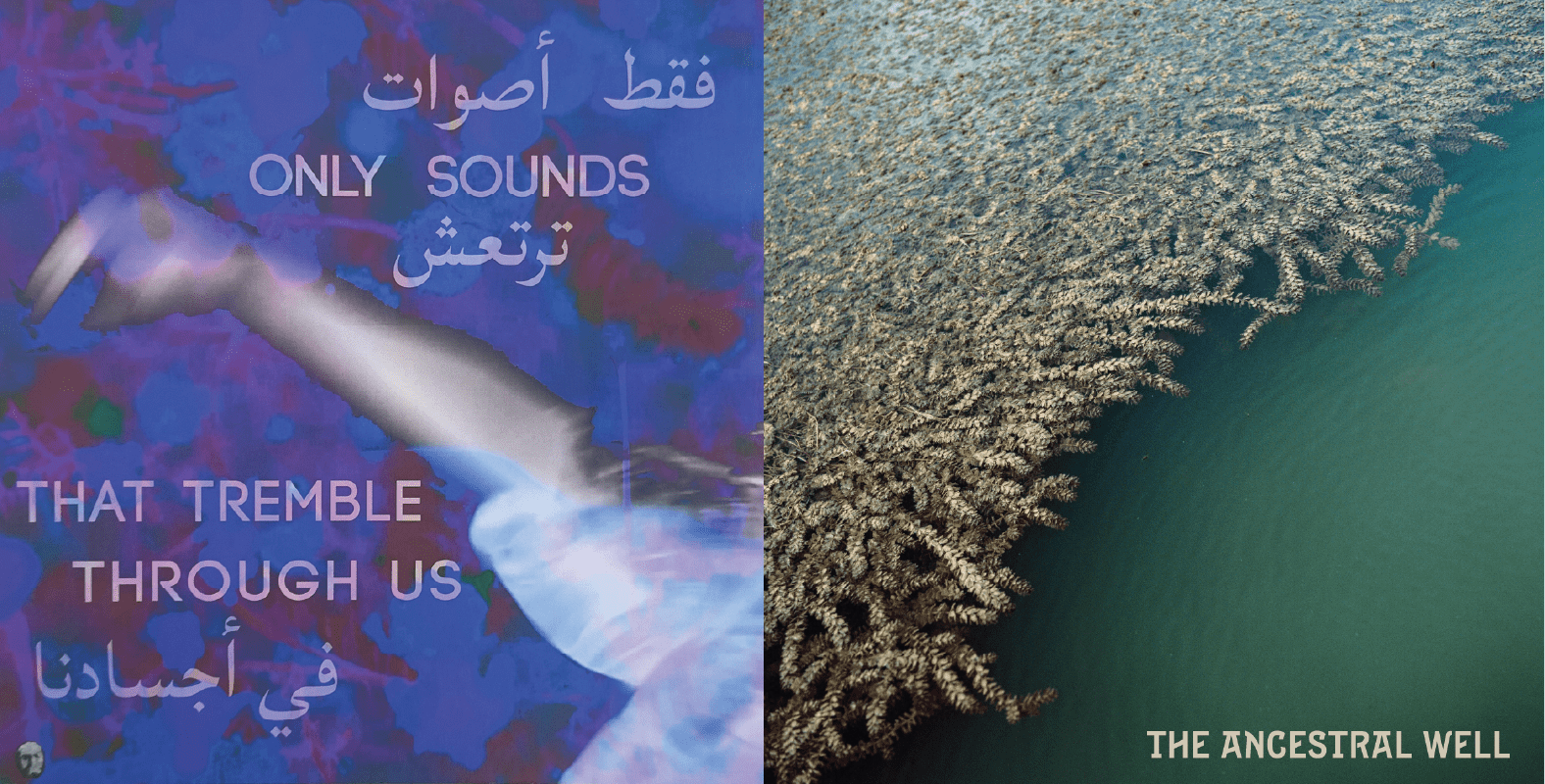 SAF releases two vinyl Albums for Sharjah Biennial 16 