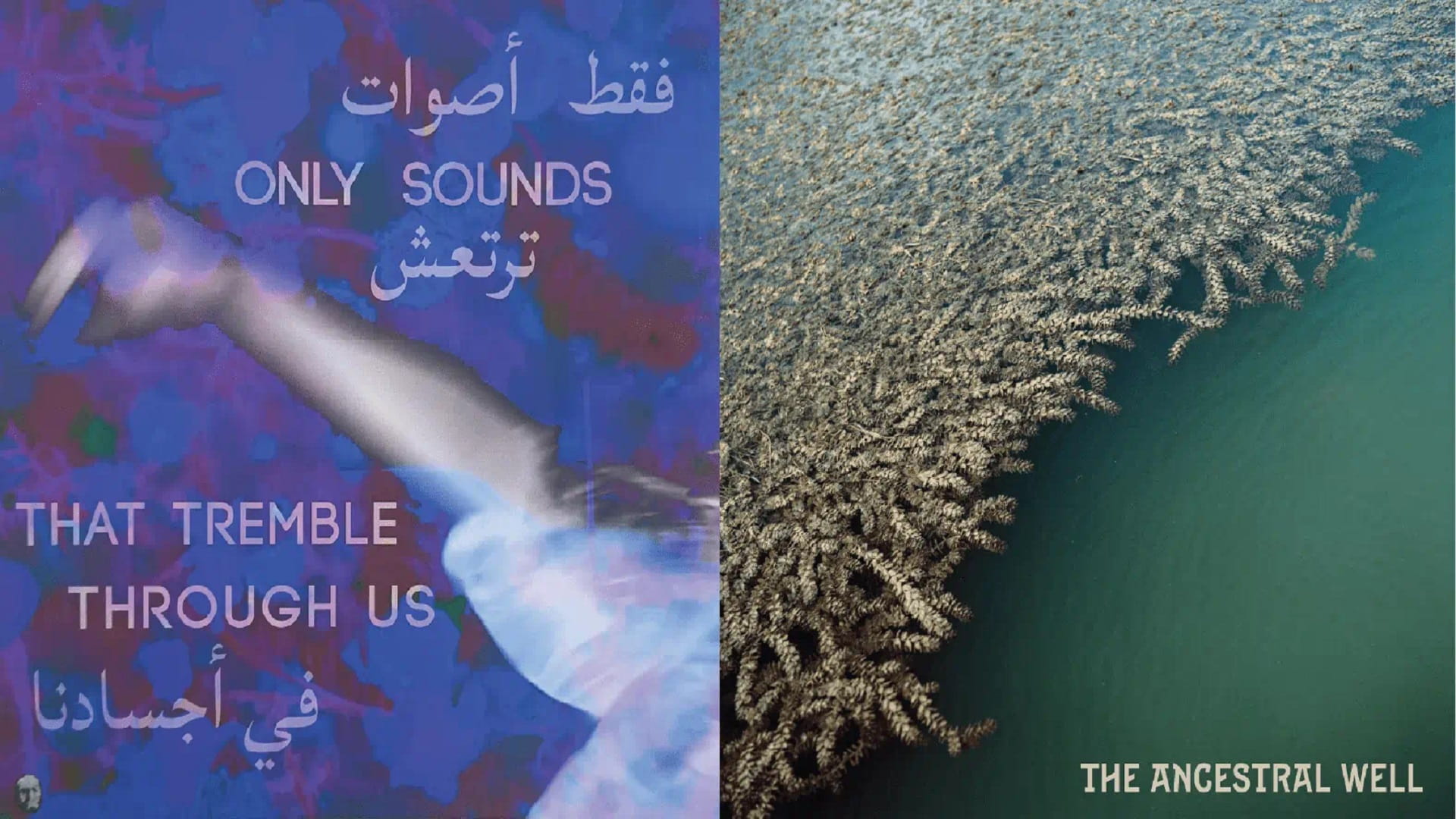 الشارقة للفنون تطلق ألبومين موسيقيين على أسطوانات الفينيل 