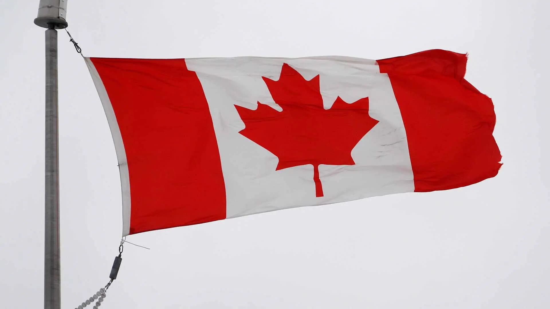 احتفال يتحول لمأساة.. قتلى بعد دهس سيارة لحشد في مهرجان بفانكوفر 