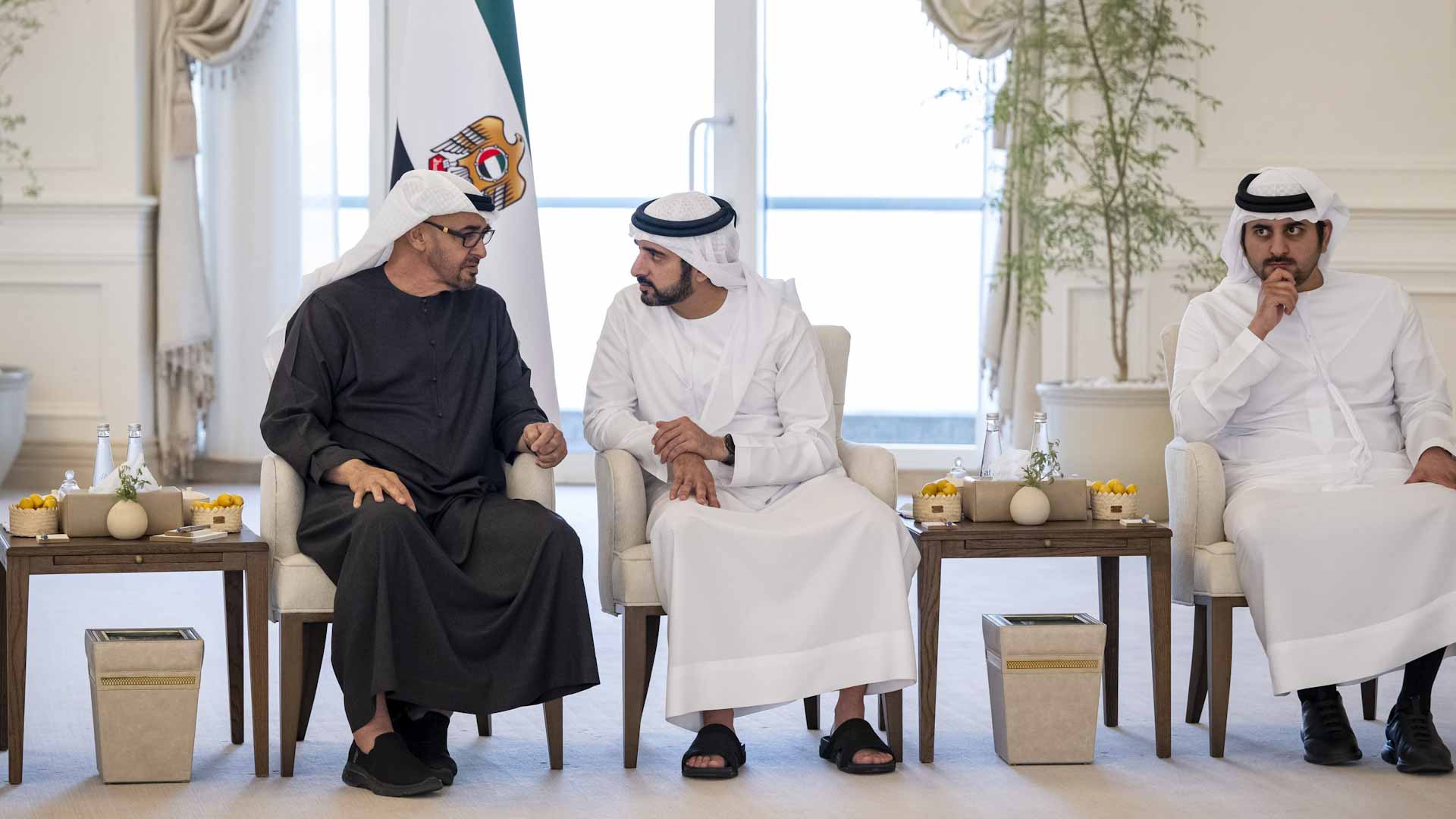 UAE President receives CP of Dubai and First Deputy Ruler of Dubai 