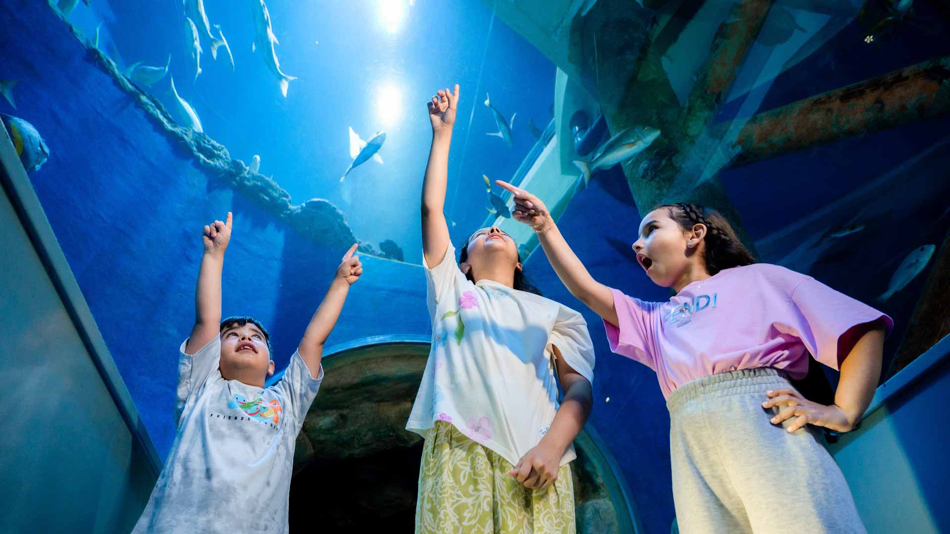 Image for the title: Sharjah Museums launches new edition of the “Junior Aquarist" 