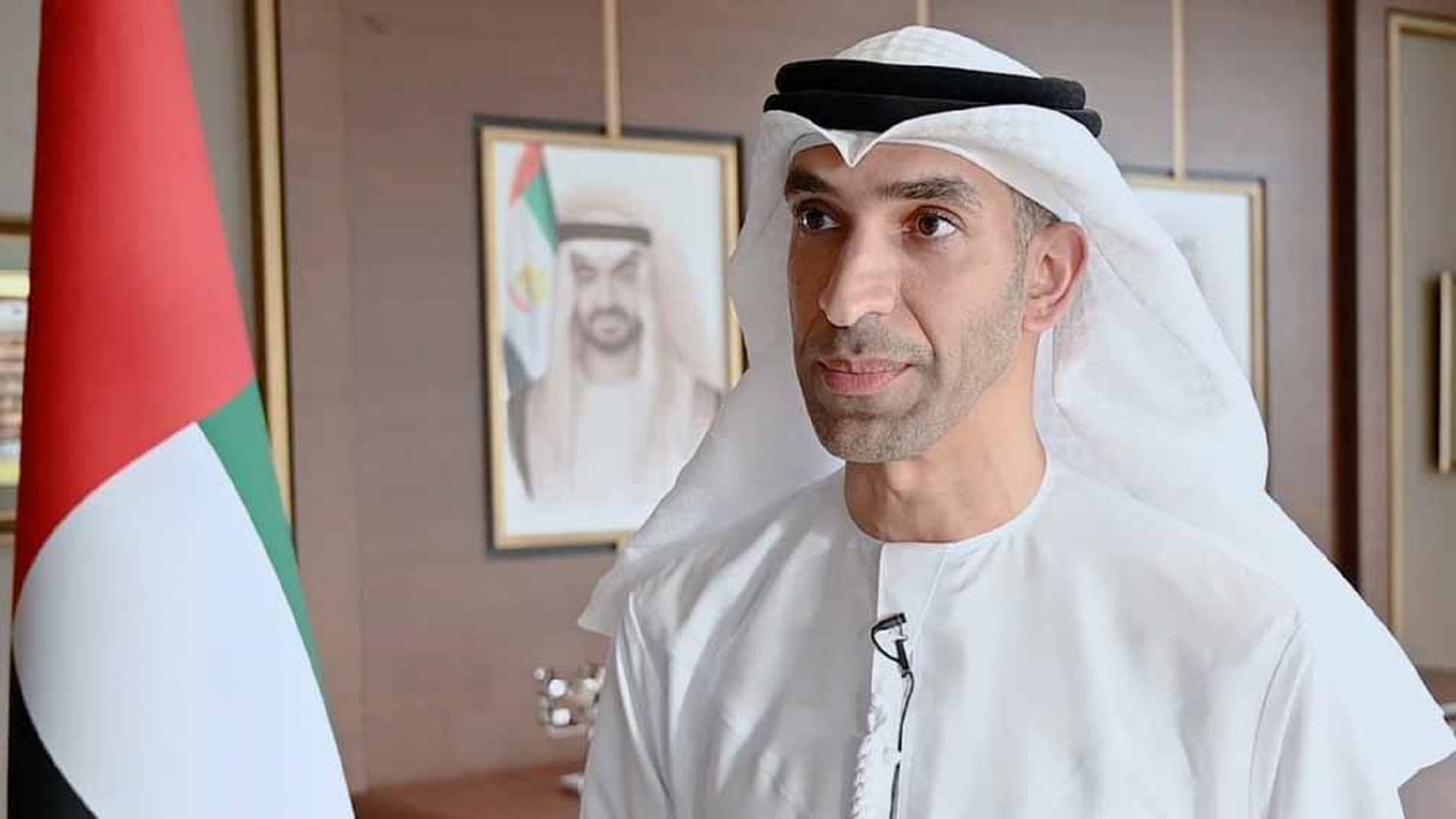 الإمارات تستكمل اتفاقيات التجارةمع الاتحاد الأوراسي قبل نهايةالعام