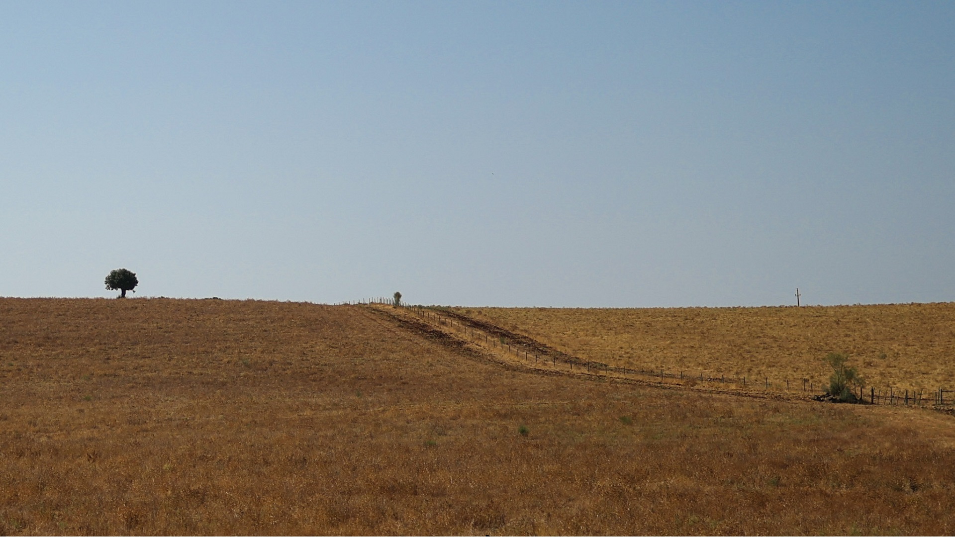 Summer 2025: A season of climate extremes unfolds 