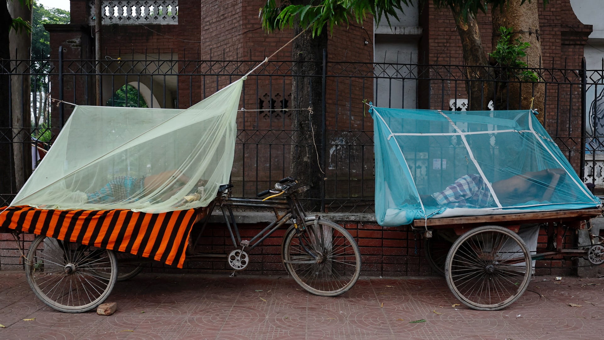 وفيات حمى الضنك في بنغلادش تتجاوز 100 وسط تحذيرات من وضع أسوأ