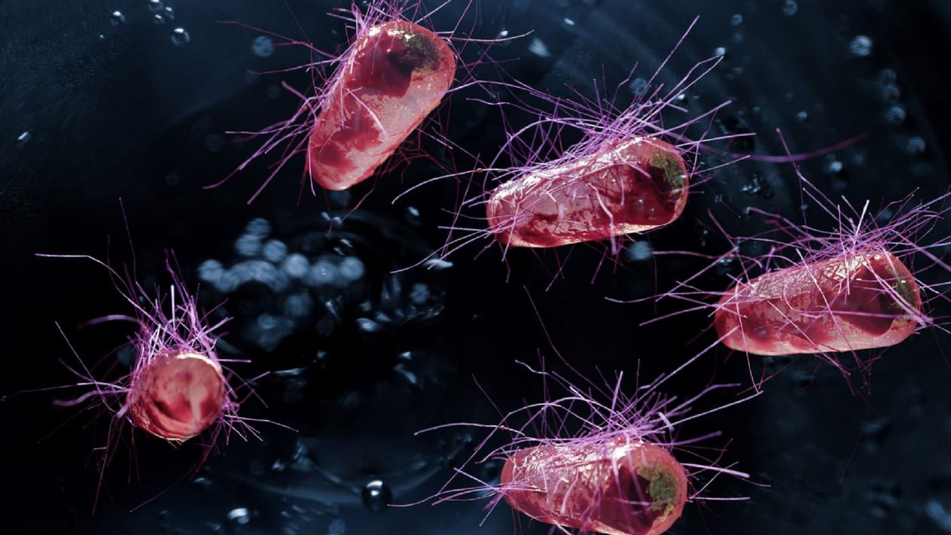 British scientists create new GM bacterial strain 