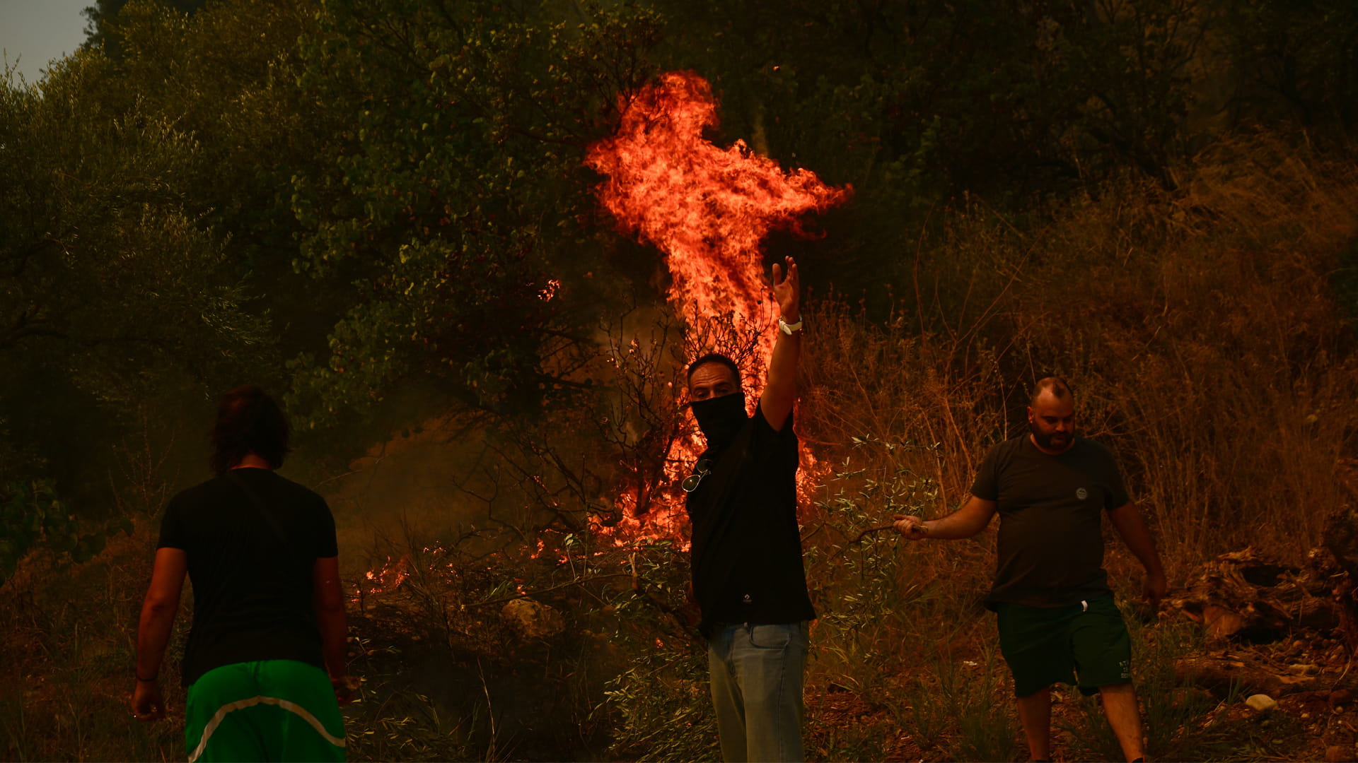 السكان المحليون يشاركون رجال الإطفاء في مكافحة حرائق غابات اليونان