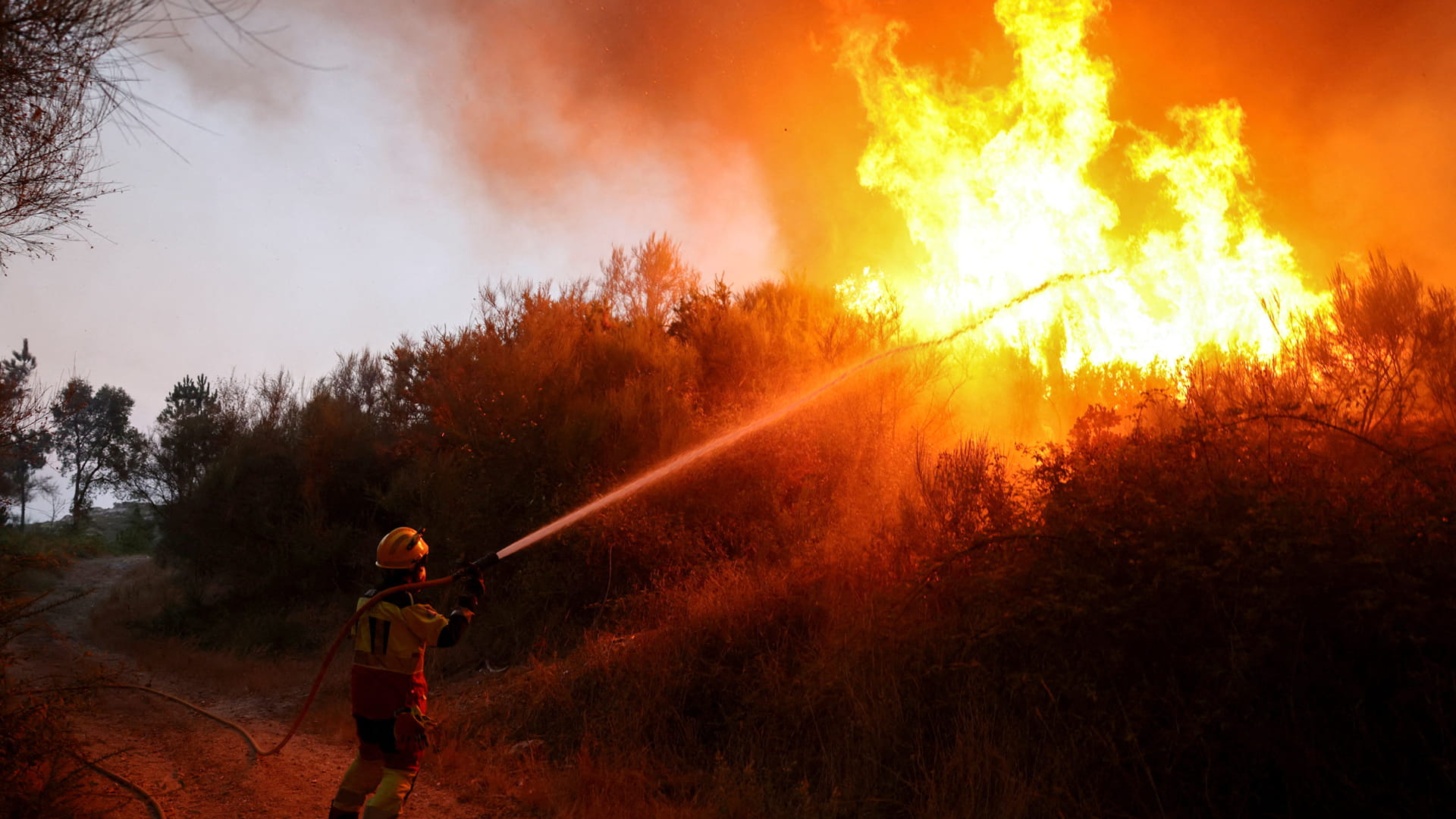 إسبانيا تكافح لإخماد 14 حريقاً وسط موجة حر غير مسبوقة تجتاح البلاد 