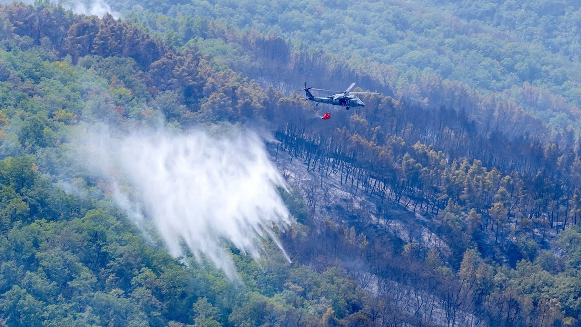 UAE continues efforts to extinguish wildfires in Albania