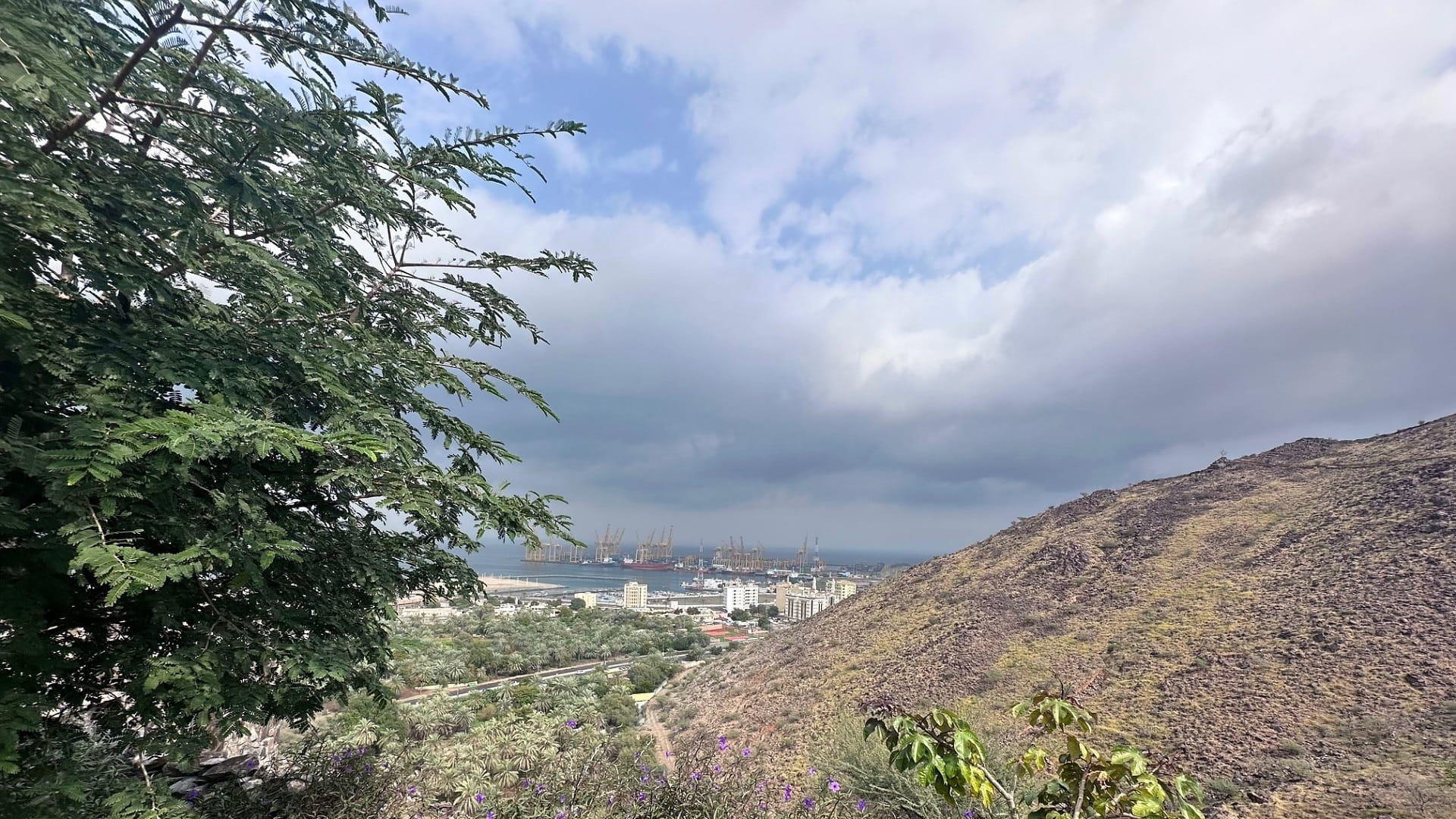 الأرصاد: طقس الغد غائم جزئياً وفرصة لسقوط أمطار 