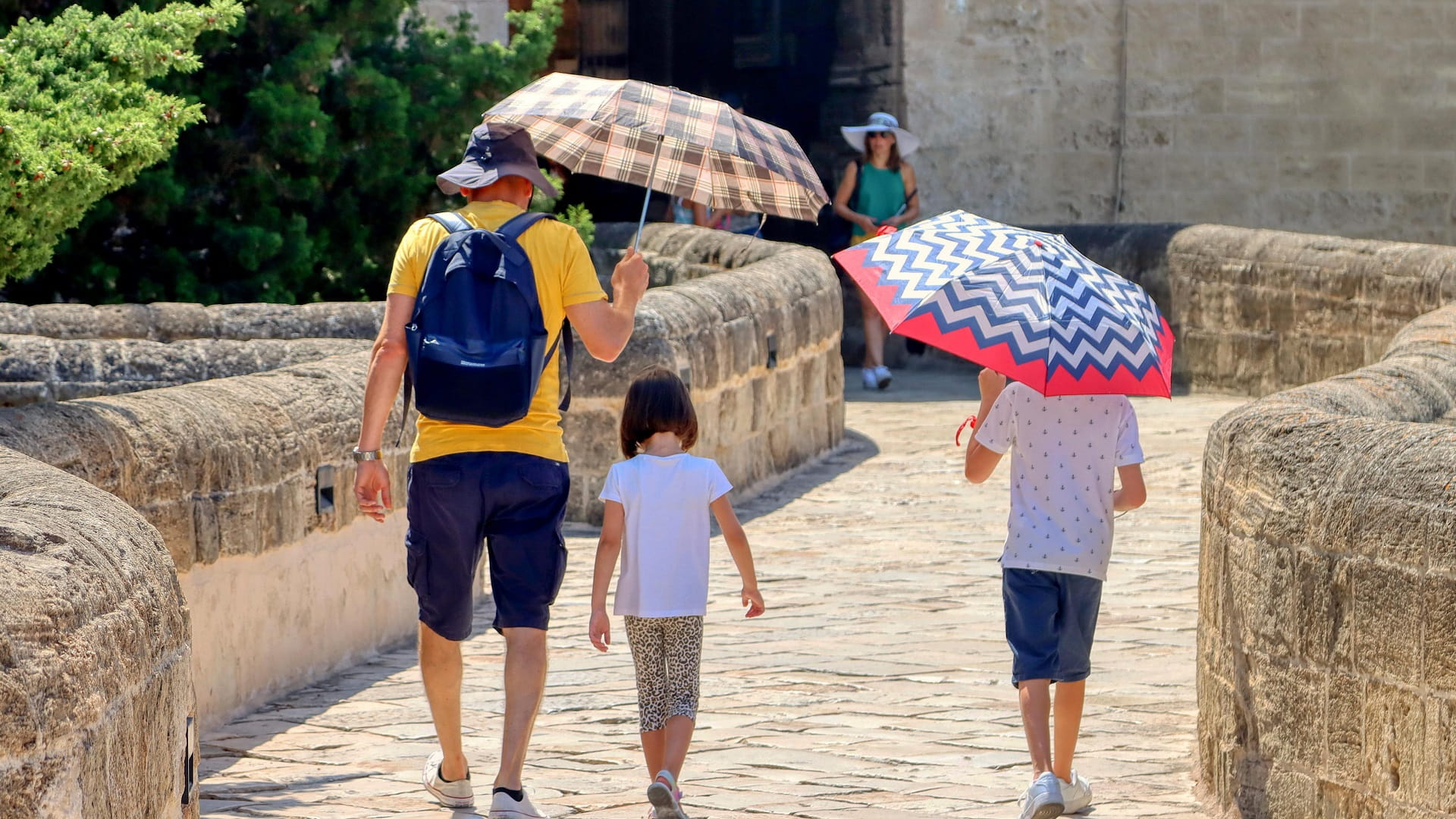 Over 1,300 excess deaths recorded in Portugal amid heatwave 