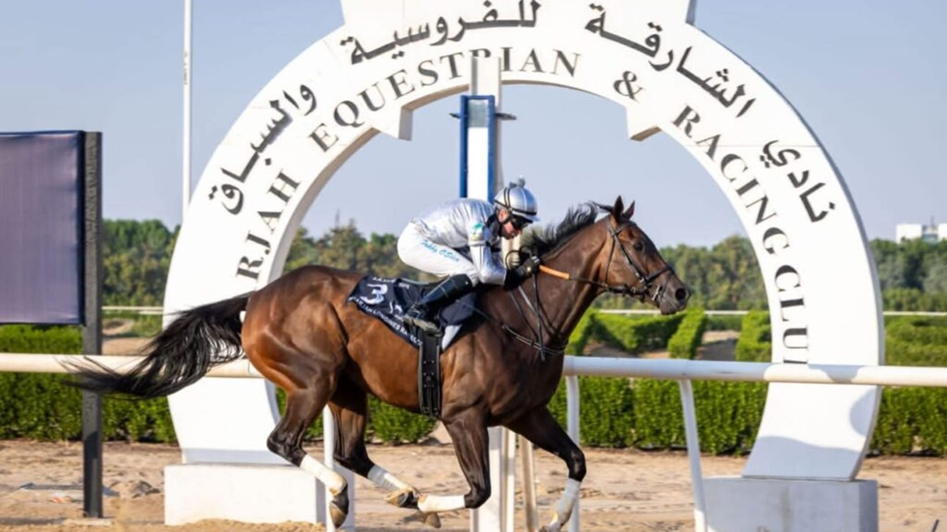 Mansour Bin Zayed Cup kicks off at Sharjah Longines Racecourse 