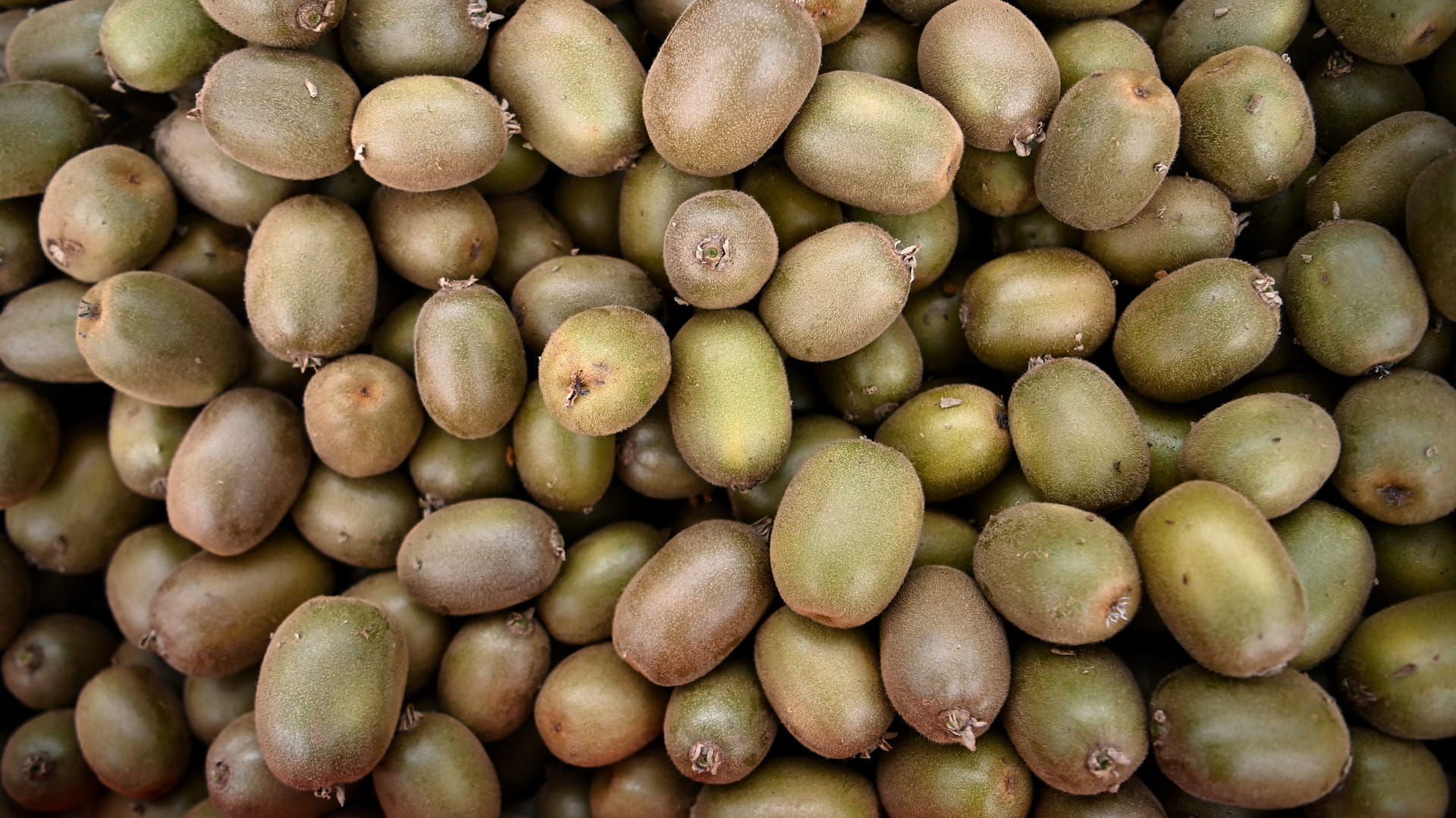 تناول الكيوي يومياً يعزز إنتاج الكولاجين ويحسن صحة البشرة 