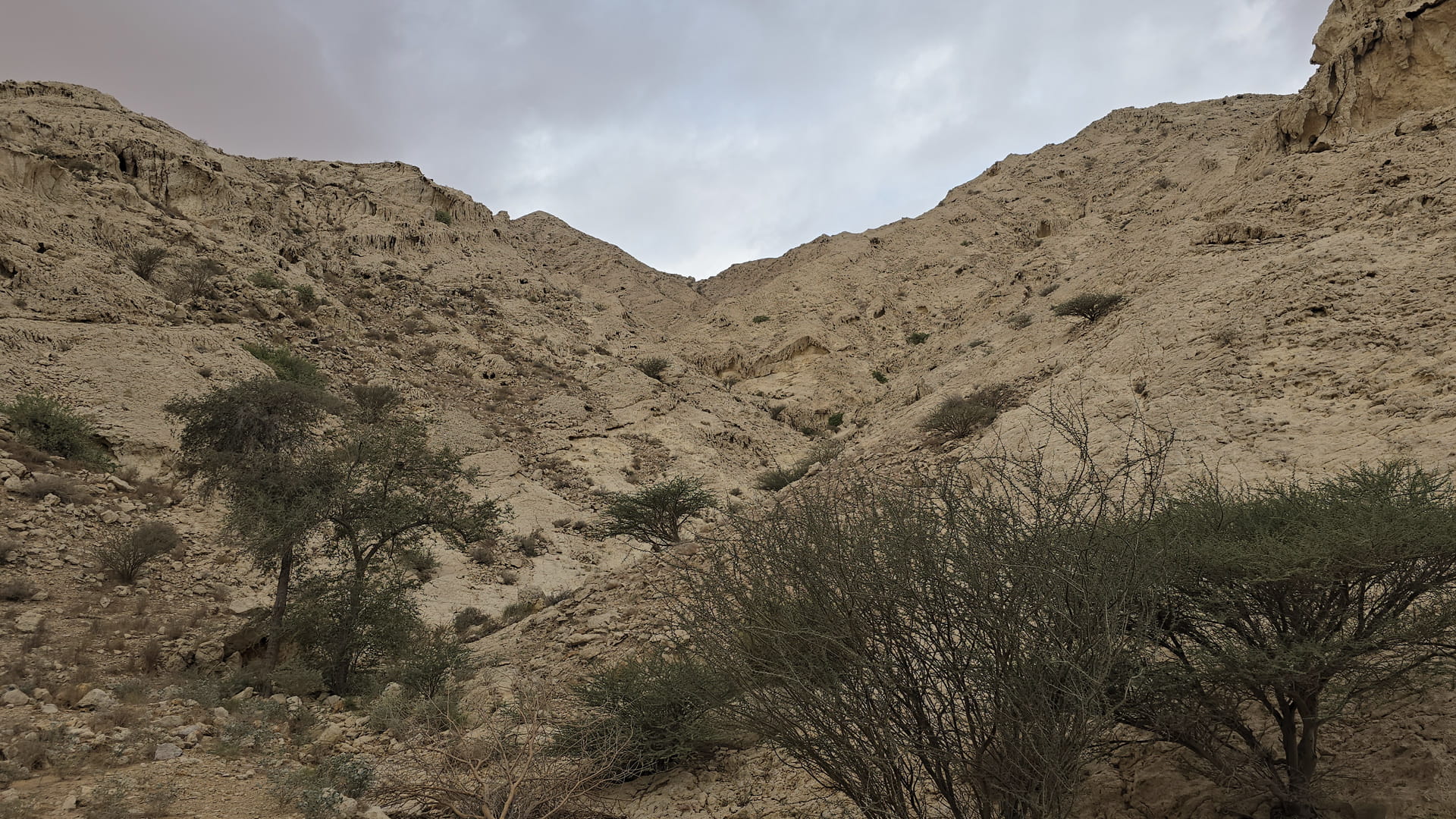 Issa Yousef: Faya world heritage listing a triumph for Sharjah