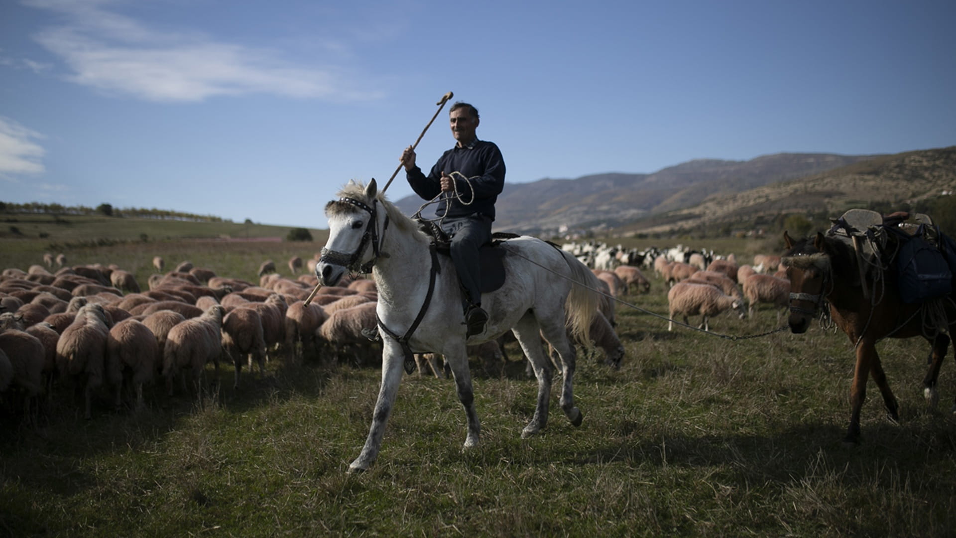 "اكسبوجر" يحتفي بأثينا ضيف شرف دورته العاشرة بـ140 عملاً فنياً