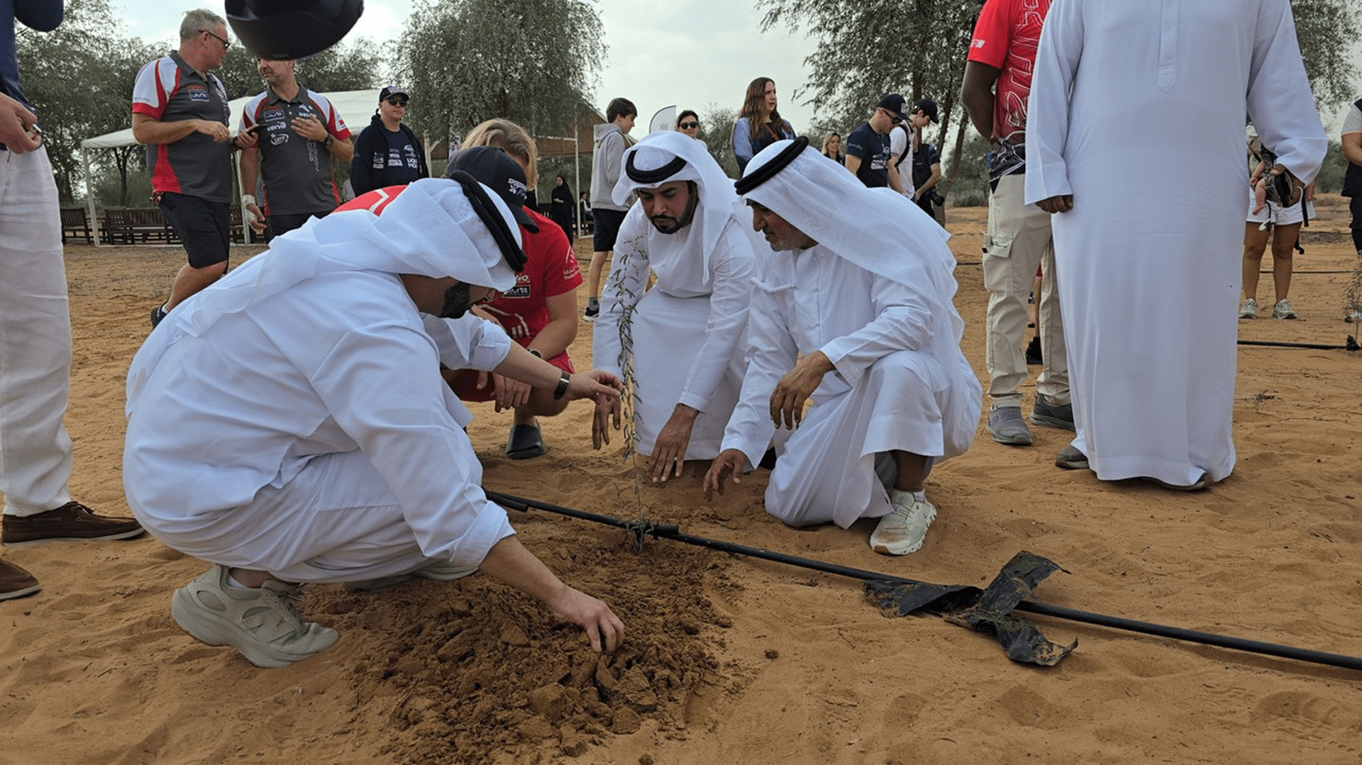 Formula 1 team joins Ghaf tree planting at Al Munthar Reserve