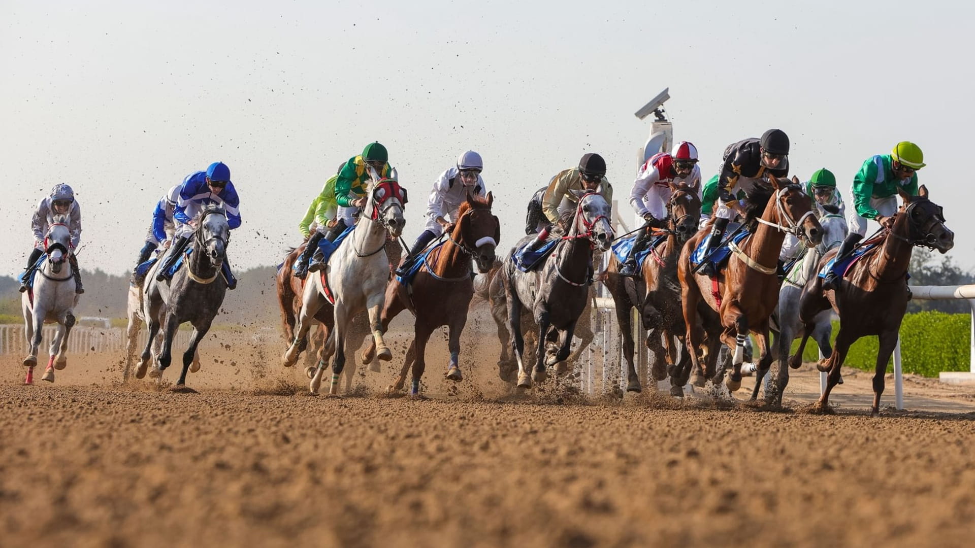 نادي الشارقة للفروسية يطلق سباق كأس مجلس التعاون للخيل الـ8 غداً 