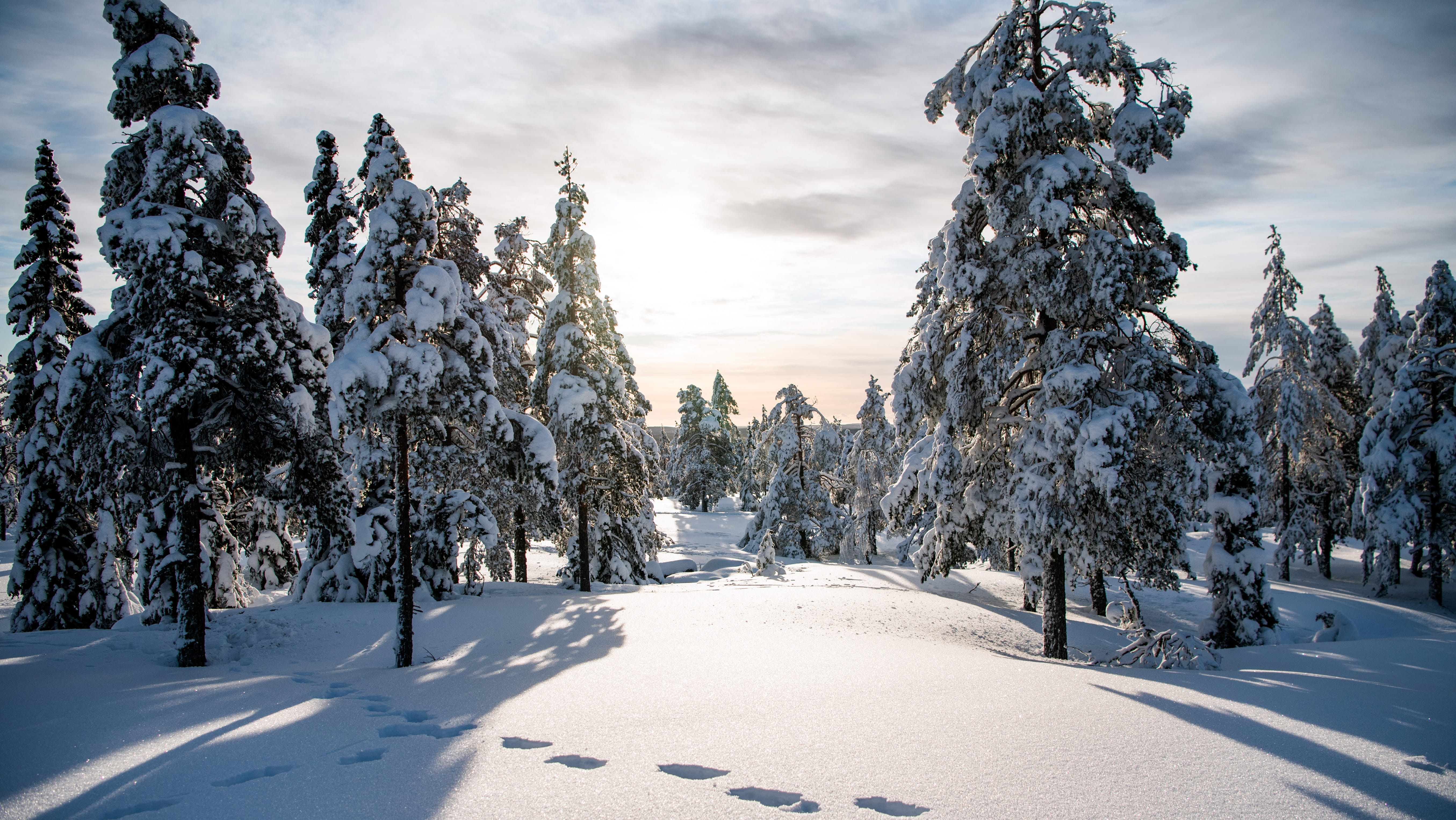 عواصف قوية تجتاح دول شمال أوروبا وتتسبب بوفاتين في السويد