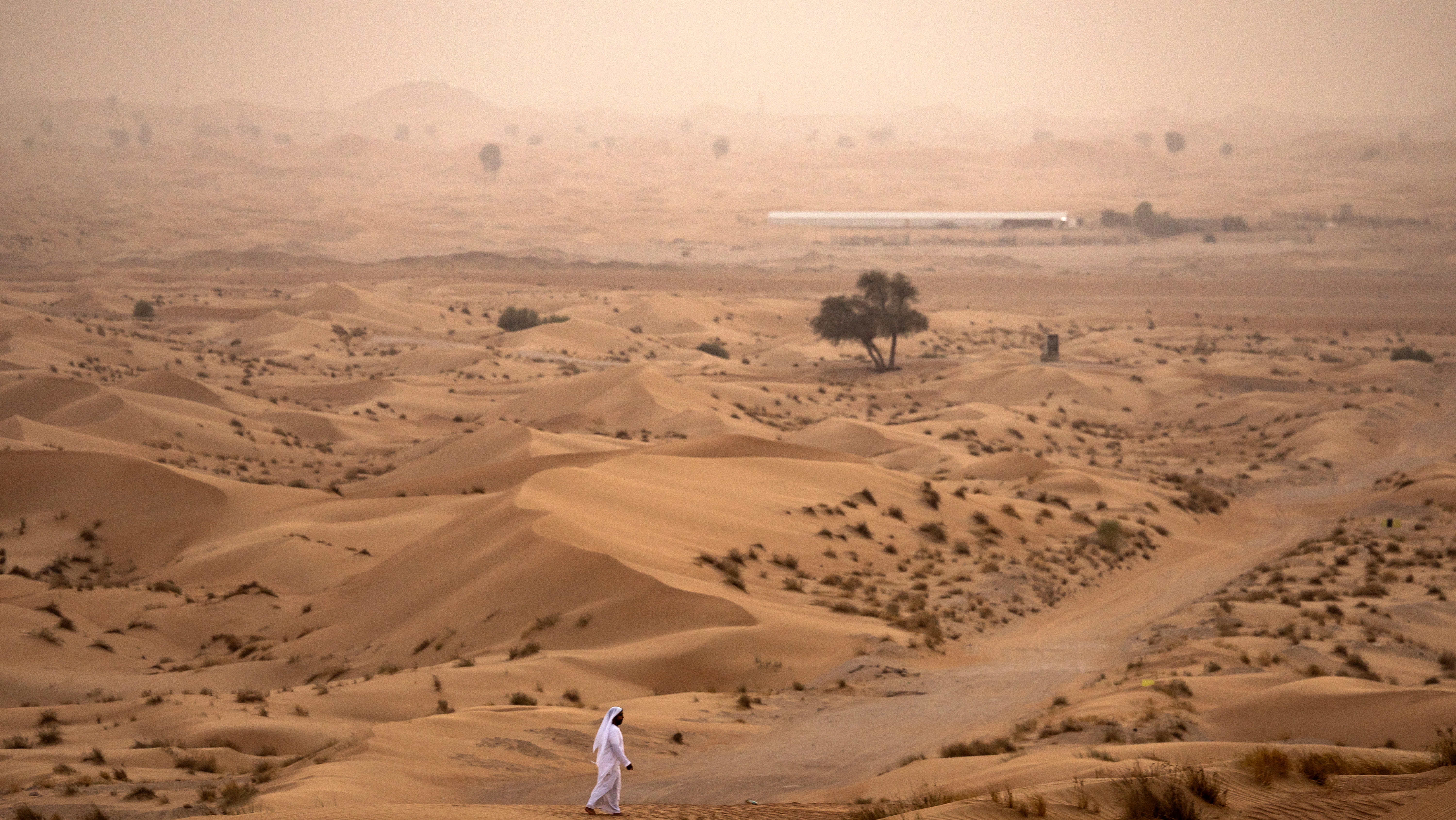 Image for the title: NCM warns of rough seas and strong dusty winds tomorrow 