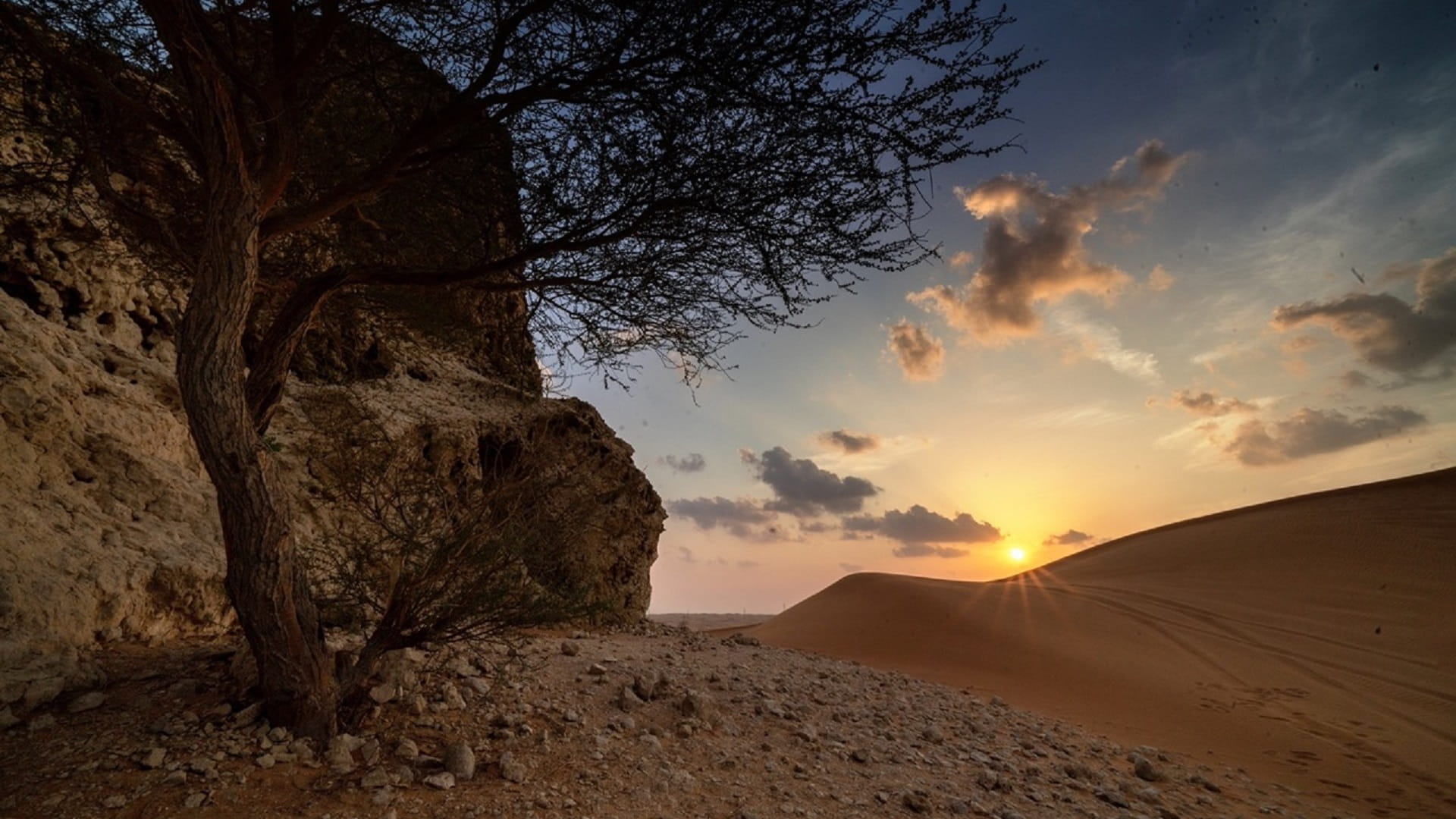 مركز الأرصاد يحذر من اضطراب الموج في الخليج العربي غداً  