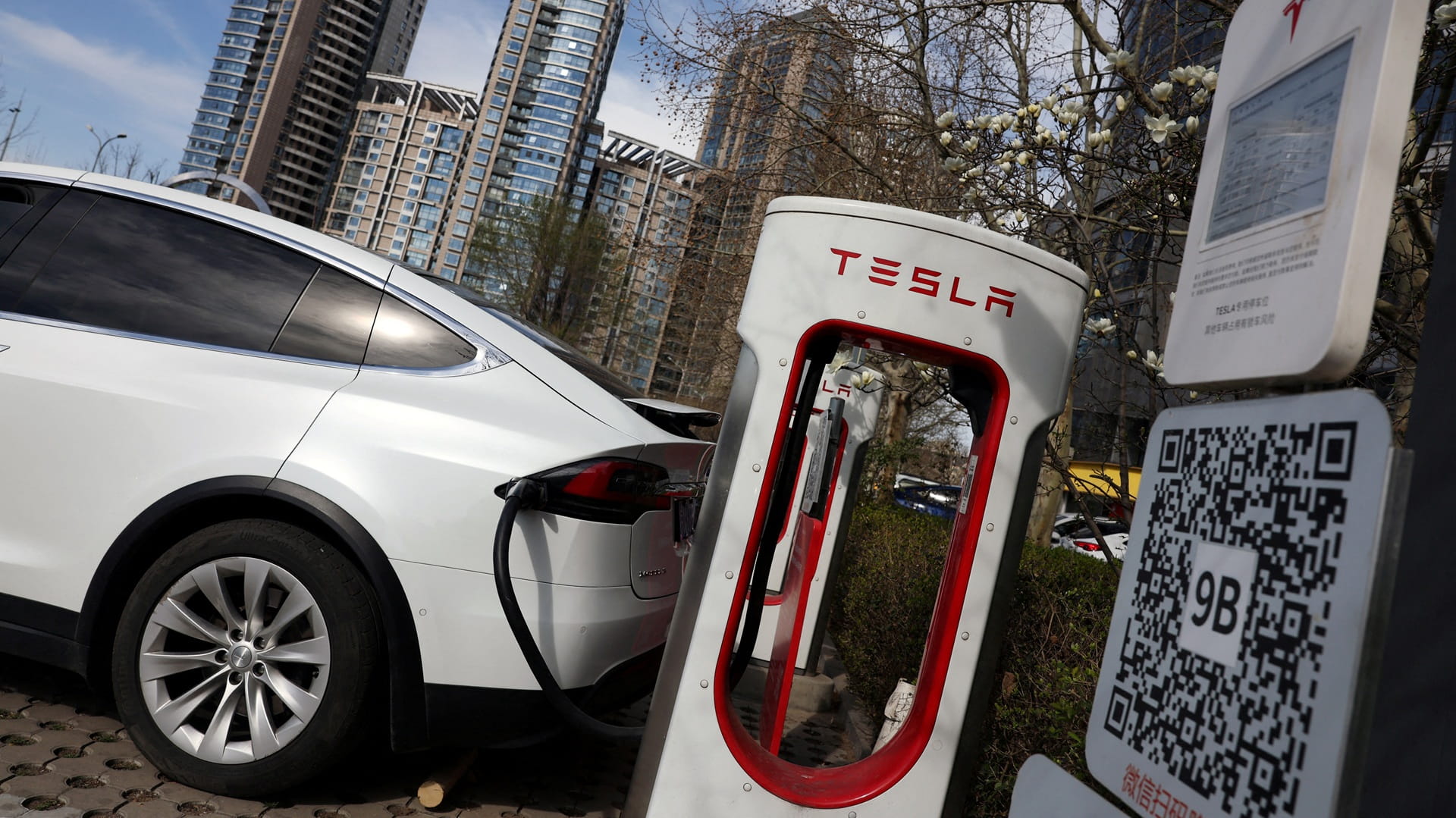 تسلا تفقد صدارة مبيعات سوق السيارات الكهربائية بالعالم في 2025