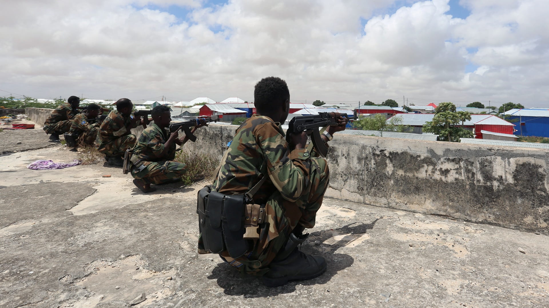 Somali forces kill 29 Al-Shabaab militants in Middle Shabelle