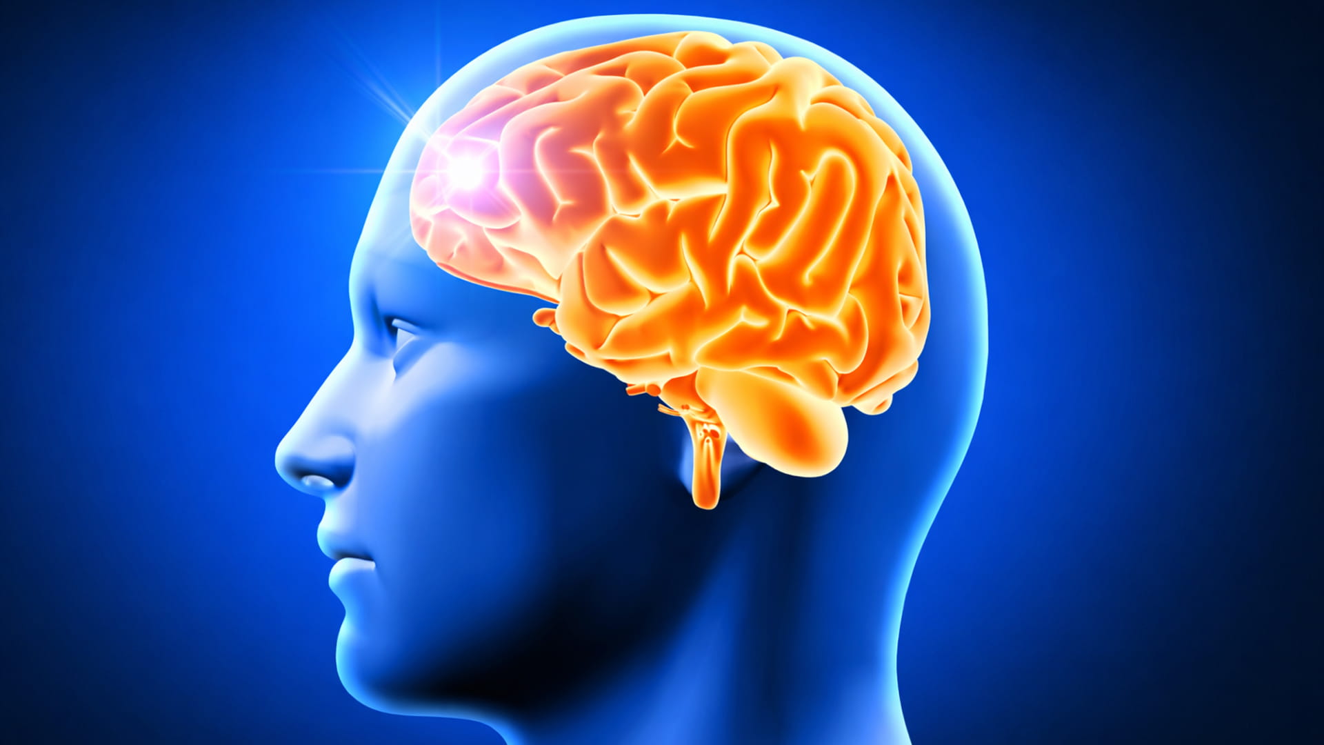 علماء ينجحون في تحسين الذاكرة وخفض النوبات بإزالة الخلايا الهرمة 