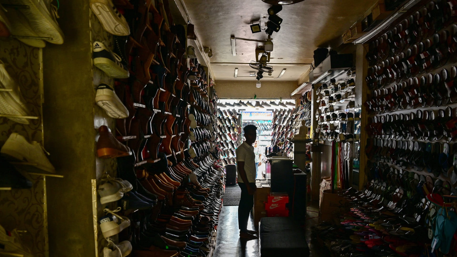 دخل محطة فرعية... قرد يتسبب بانقطاع الكهرباء في سريلانكا