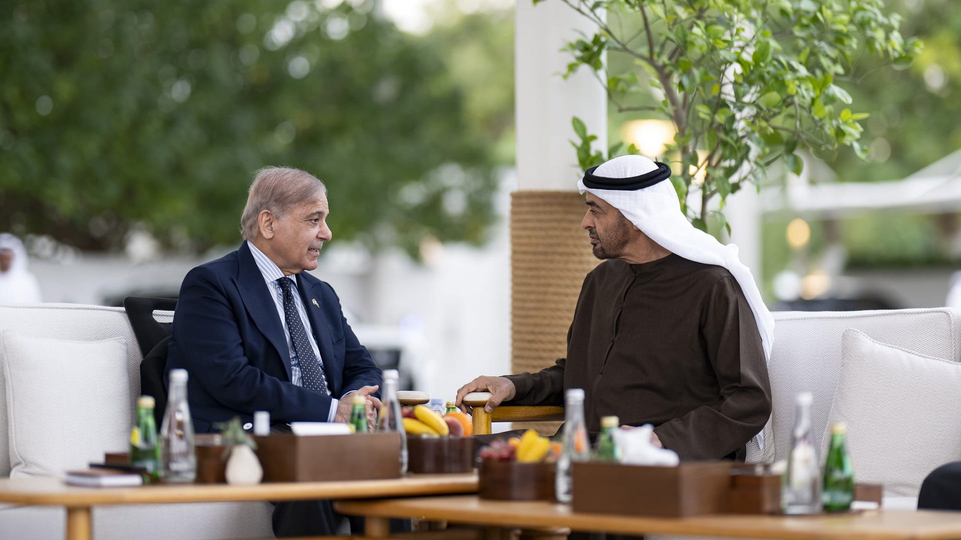 UAE President, Pakistani PM discuss strengthening bilateral ties