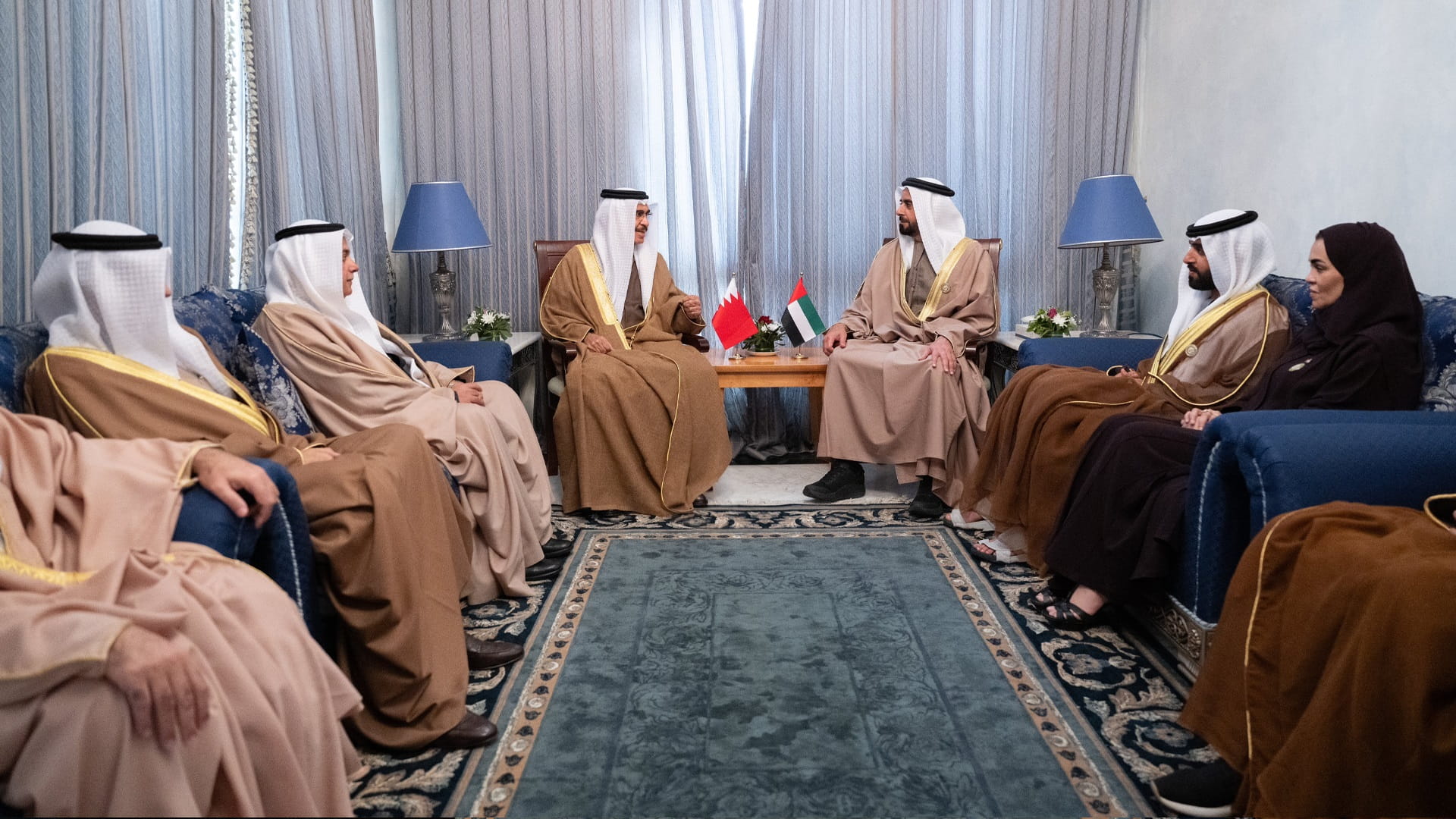 سيف بن زايد يبحث التعاون الأمني مع وزير الداخلية البحريني في تونس