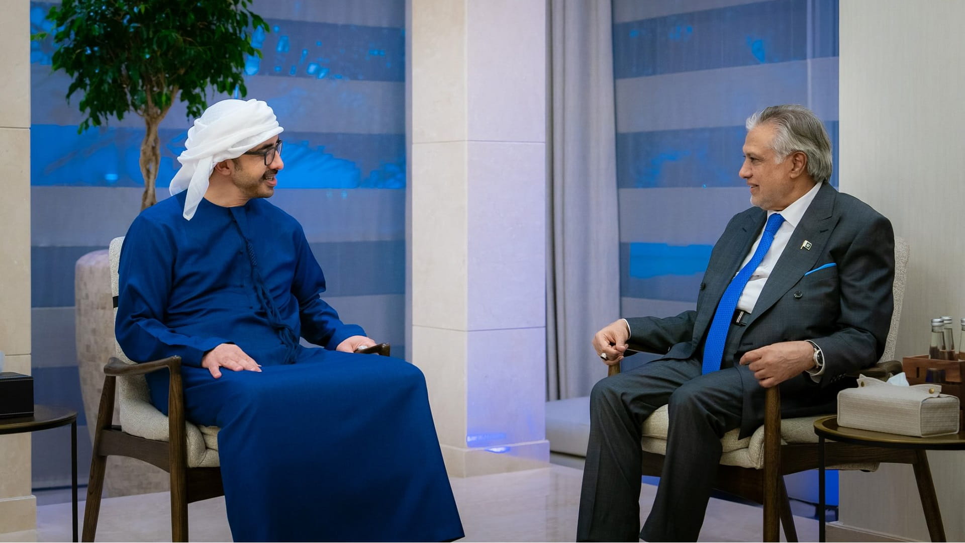 Abdullah bin Zayed, Pakistani Deputy PM strengthen bilateral ties