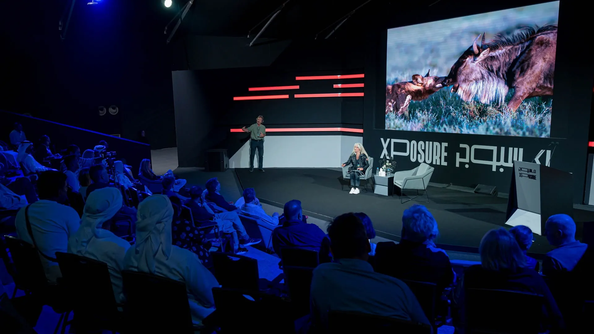 Xposure takes audiences on journey via wildebeest migration 