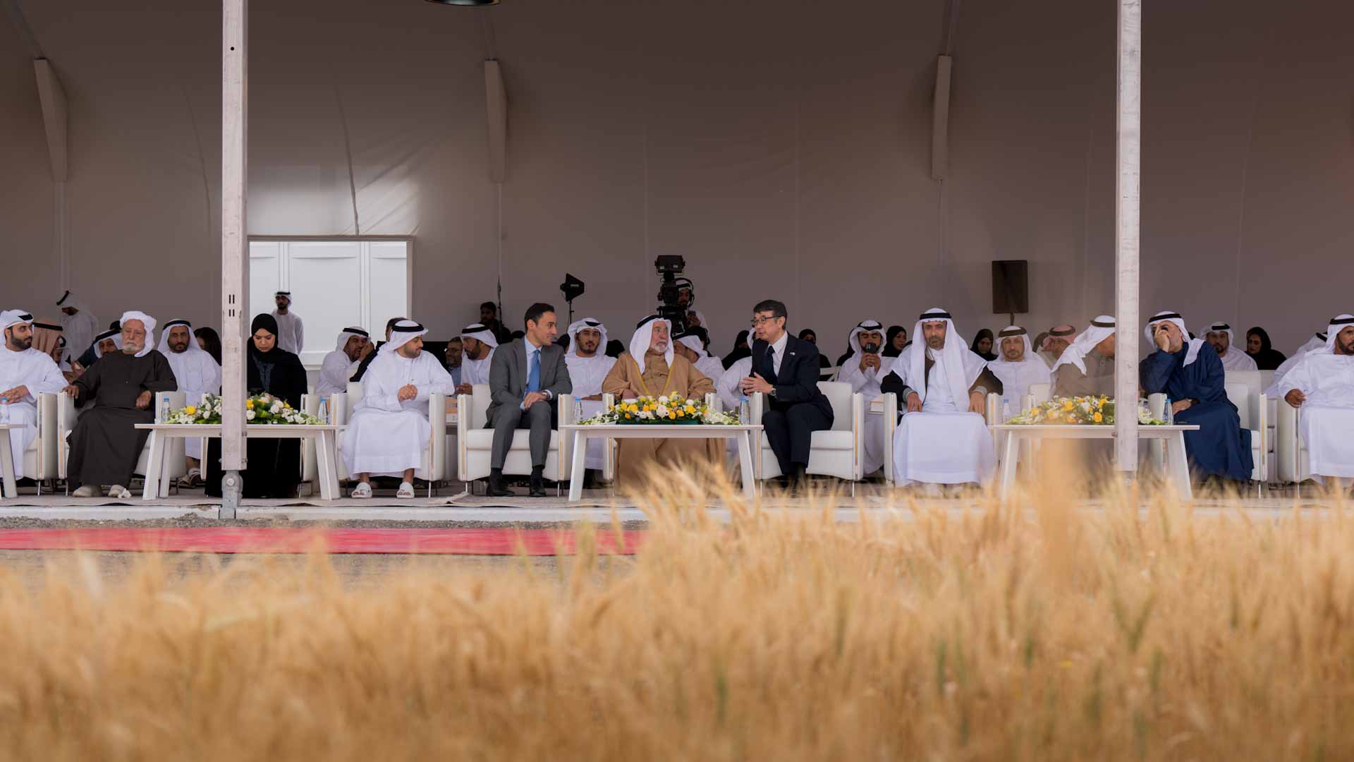 Sharjah Ruler attends 3rd season Harvest of "Saba Sanabel"  