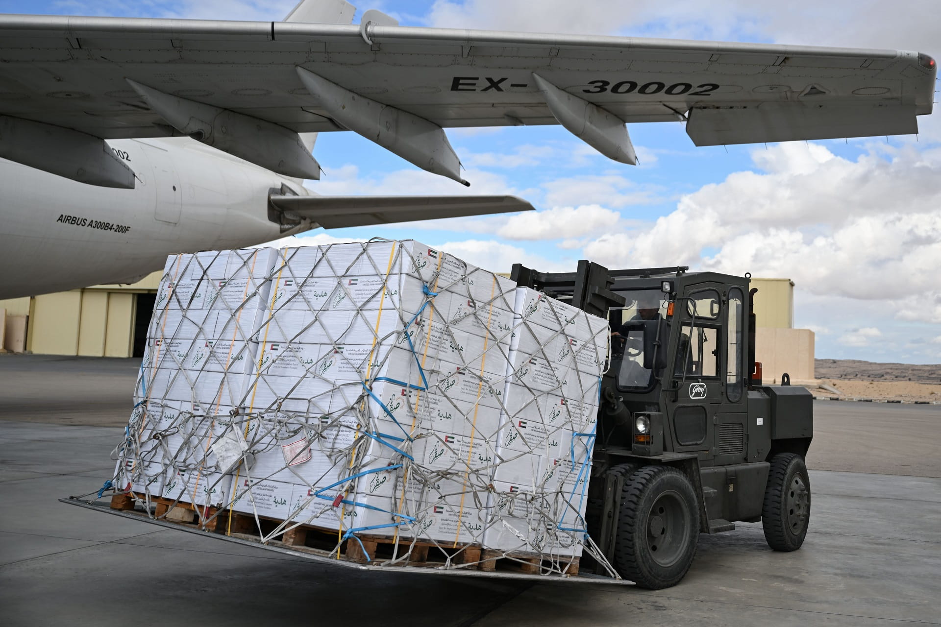 4 UAE aid planes arrive in Al-Arish 3 to support Gaza 