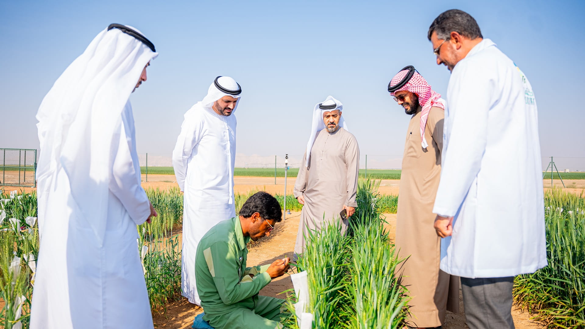 وفد حكومة الإمارات يطلع على استراتيجية الشارقة لتطوير وتحسين القمح