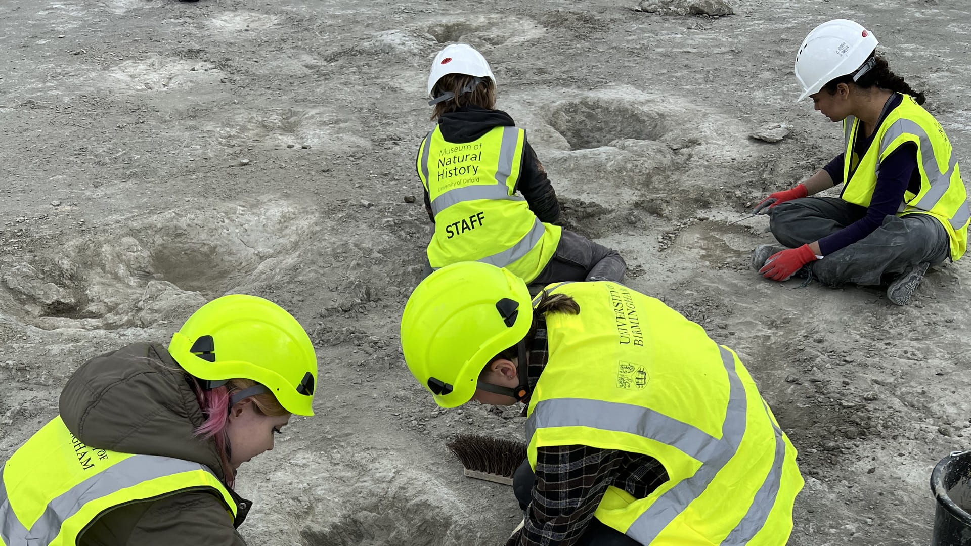 علماء يعثرون آثار أقدام ديناصورات من العصر الجوارسي في إنجلترا 