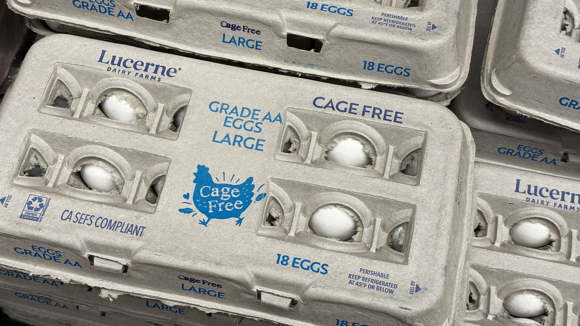 FAO World food prices fell 2% in 2024 