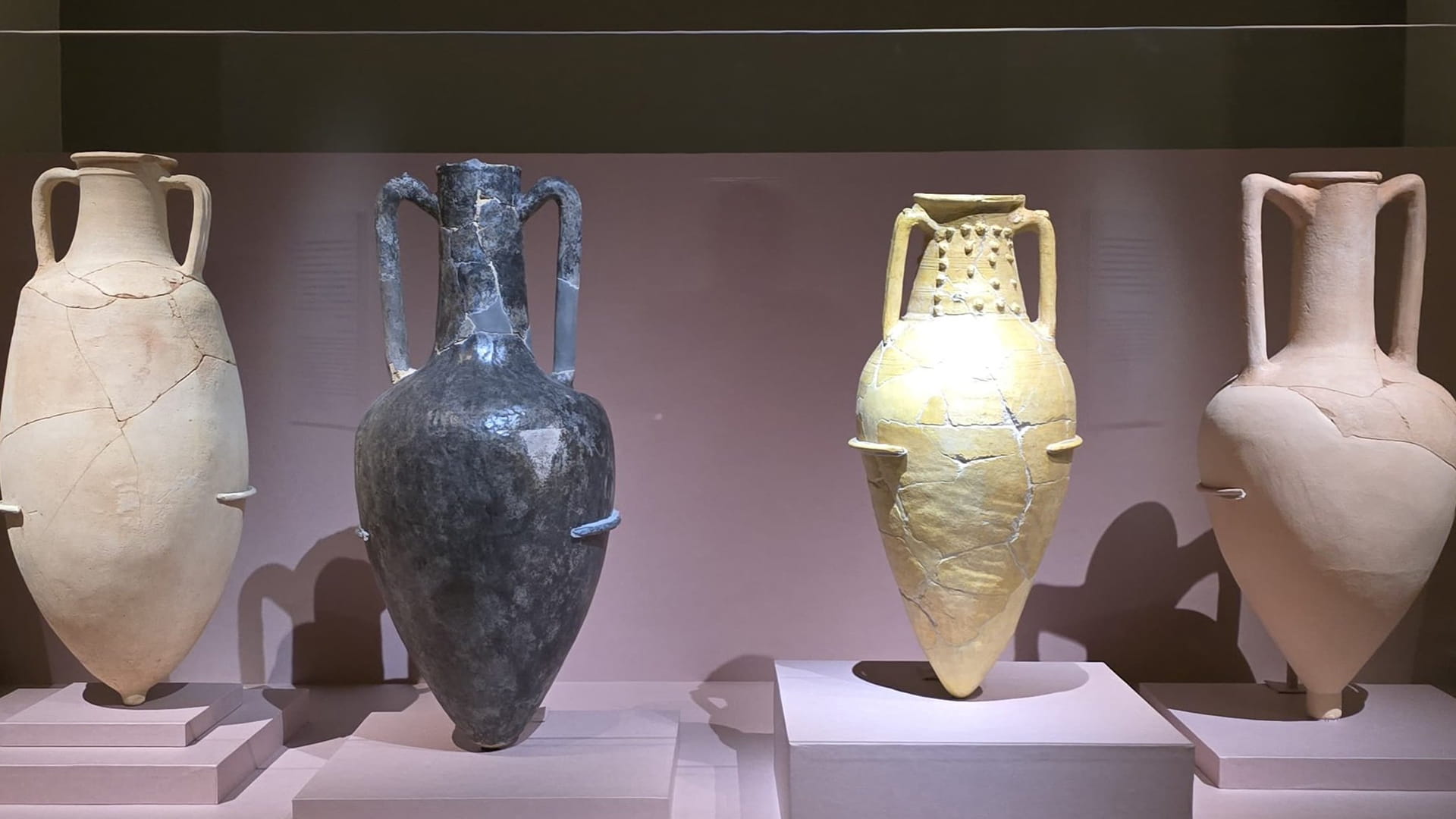 هيئة الشارقة للآثار تحتضن وتحمي الإرث والتاريخ 