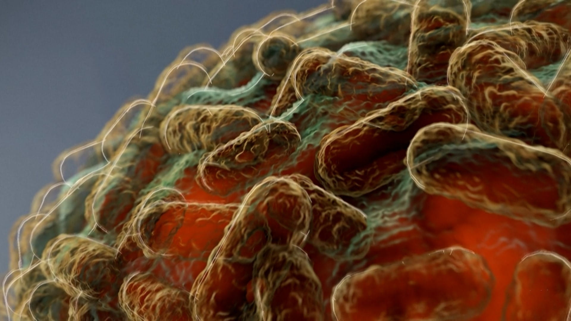 "إمبوكس".. وباء فيروسي يكسر الحدود ويثير قلقاً عالمياً