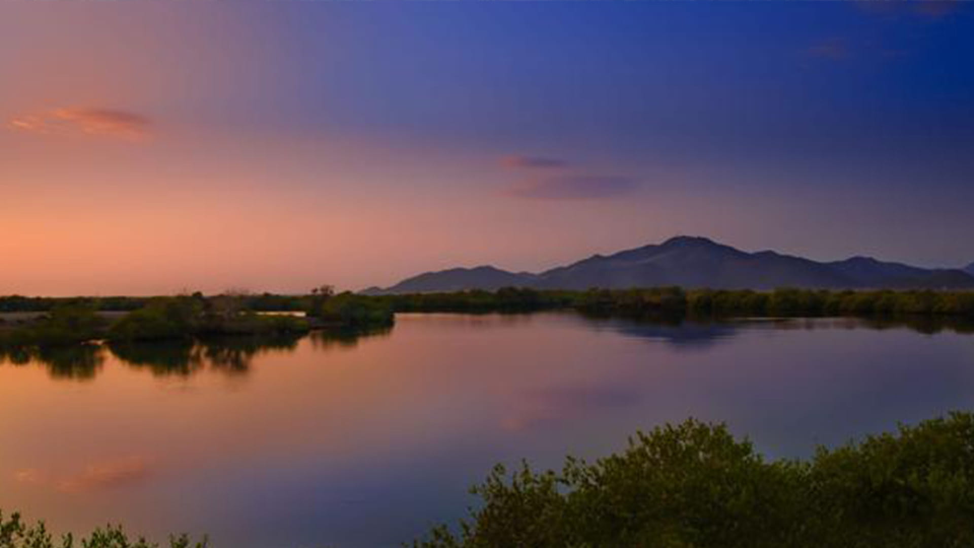 Khor Kalba Mangrove Centre