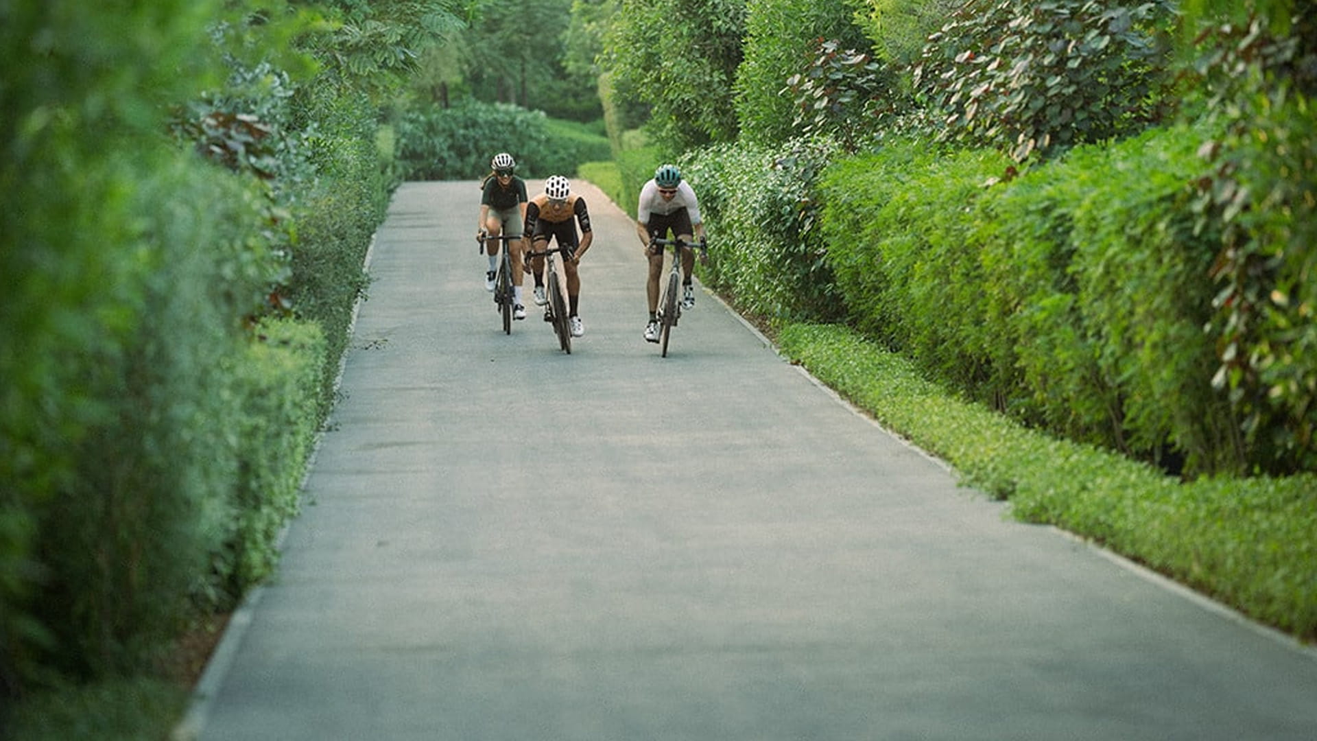 أفضل الأماكن لركوب الدراجات في الشارقة 