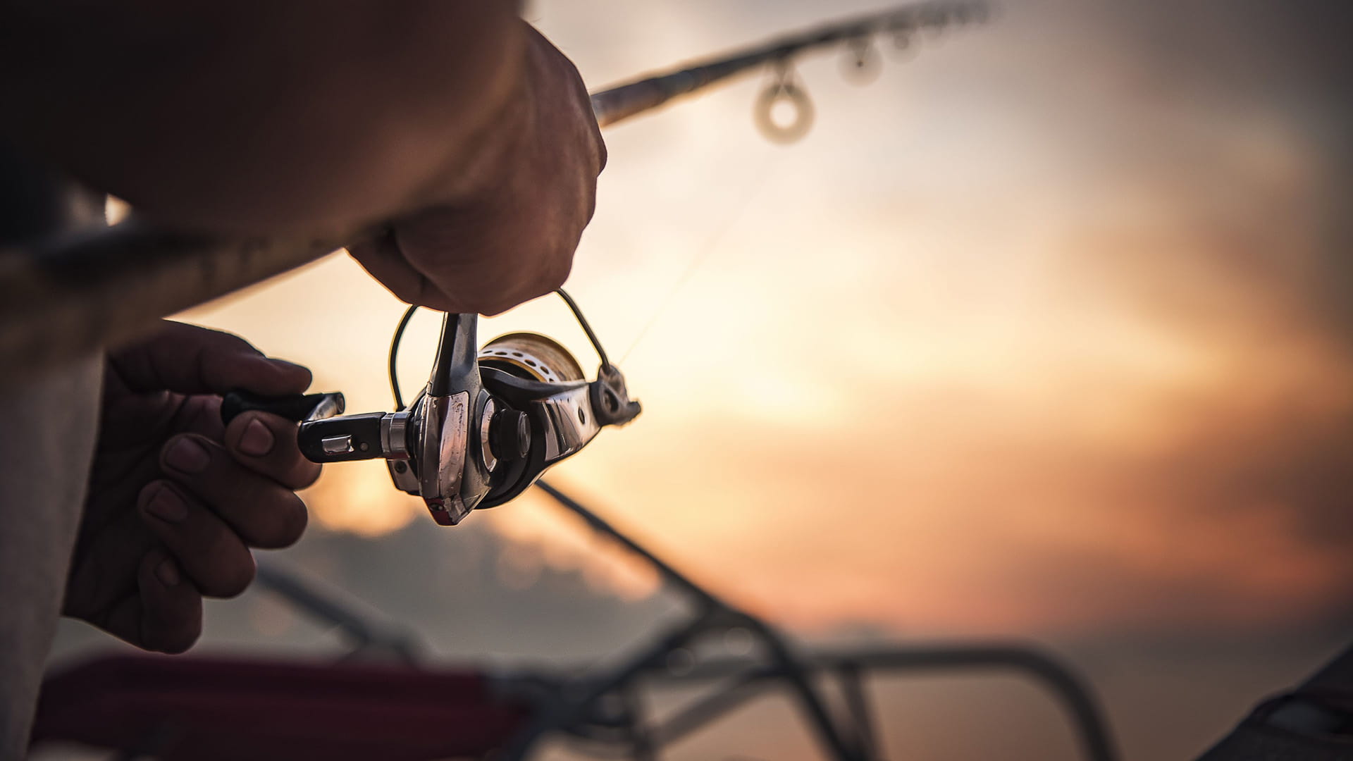 أماكن تسمح بممارسة الصيد الترفيهي في الشارقة 