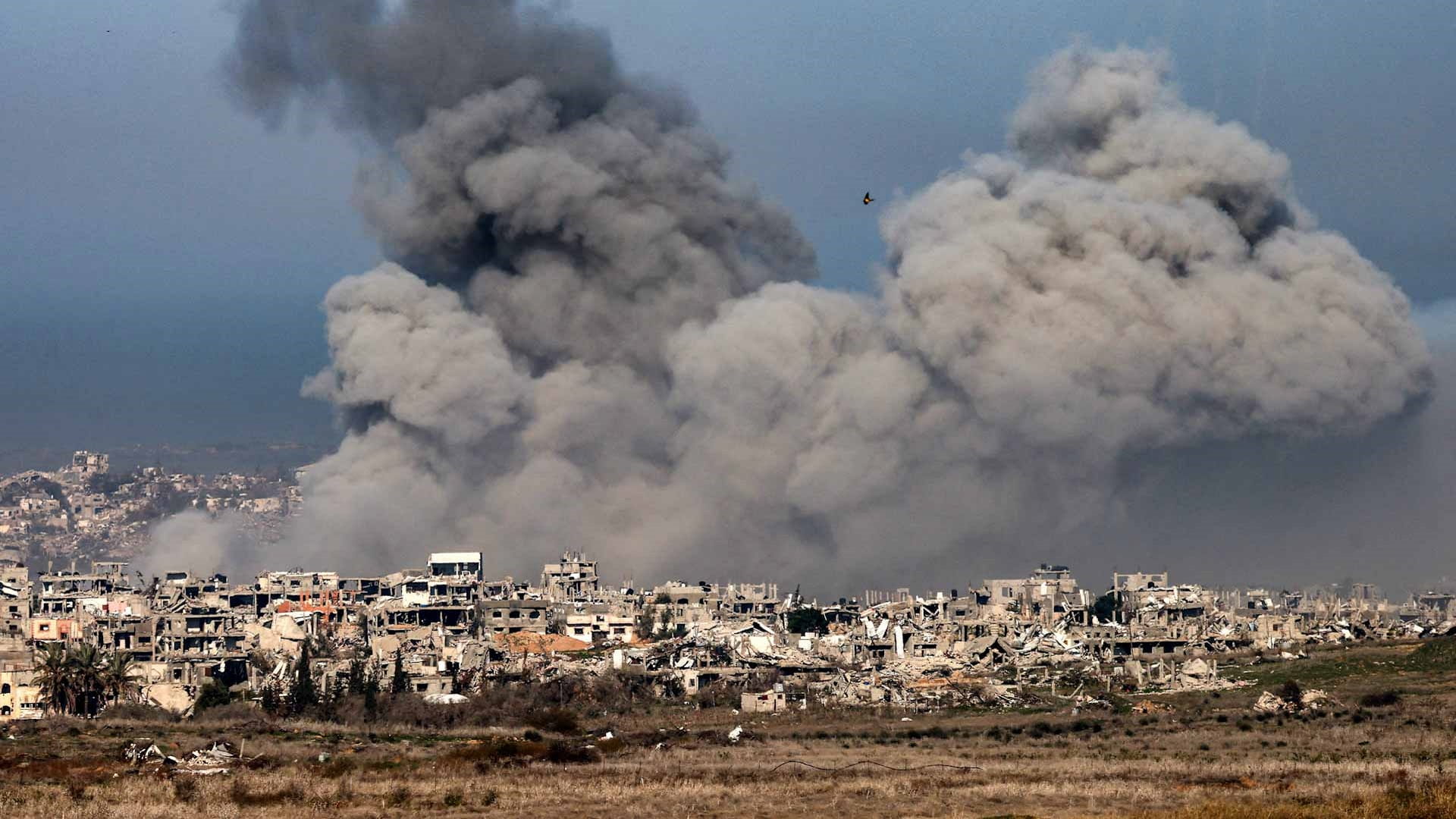 الجيش الإسرائيلي يعلن مقتل خمسة جنود في غزة 