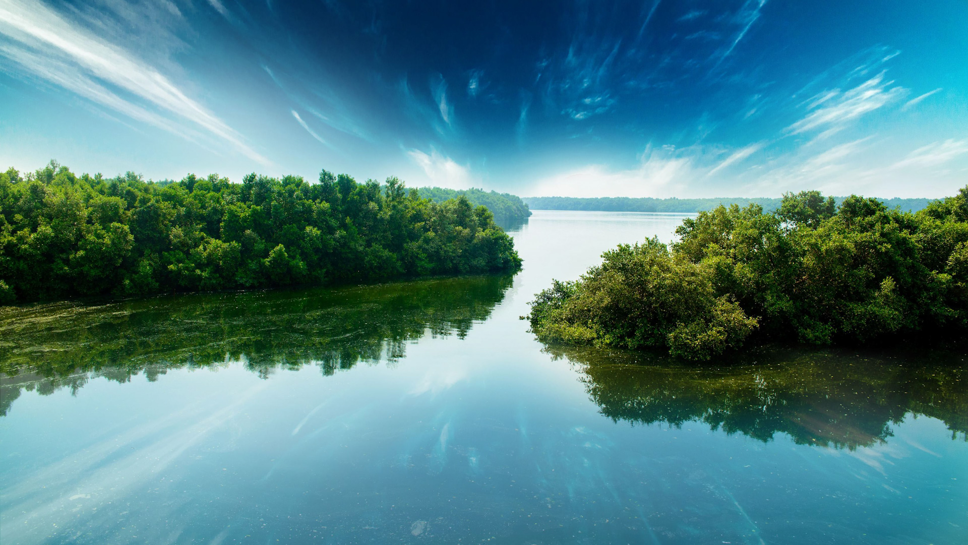 متنزهات الإمارات الطبيعية.. تجسيد متكامل لمفهوم السياحة الخضراء 