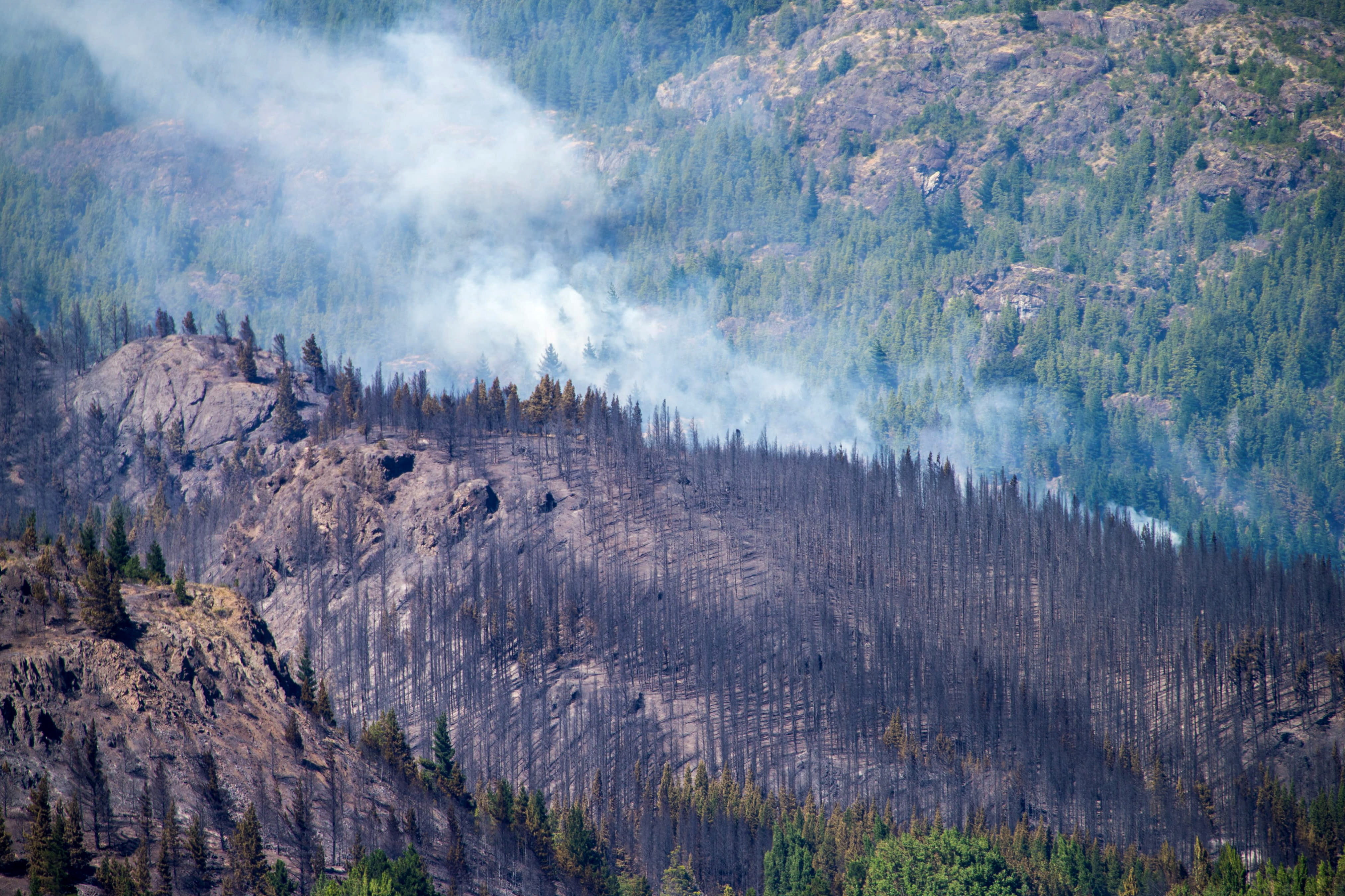  في الأرجنتين.. حريق غابات باتاغونيا يجبر السكان على إخلاء منازلهم  