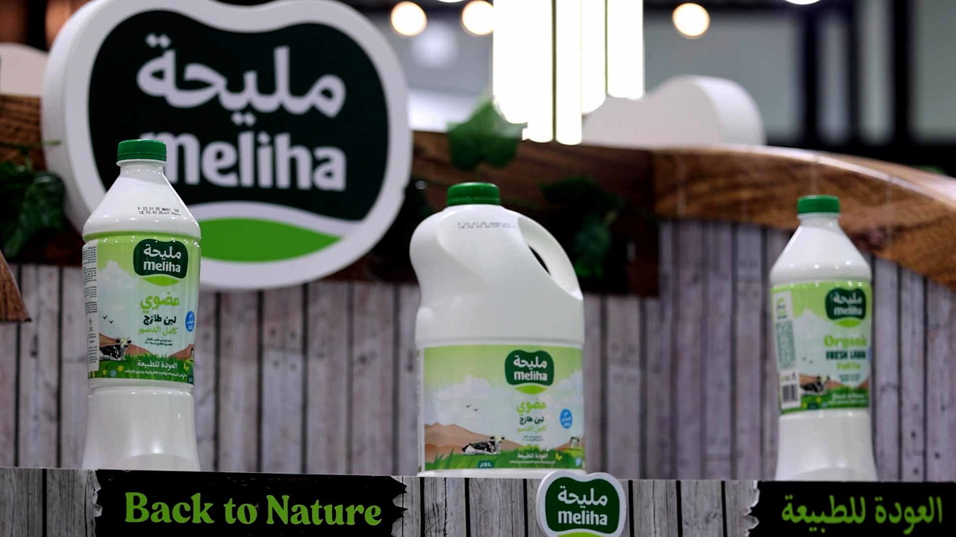 “EKTIFA” launches organic Mleiha milk in sales outlets 