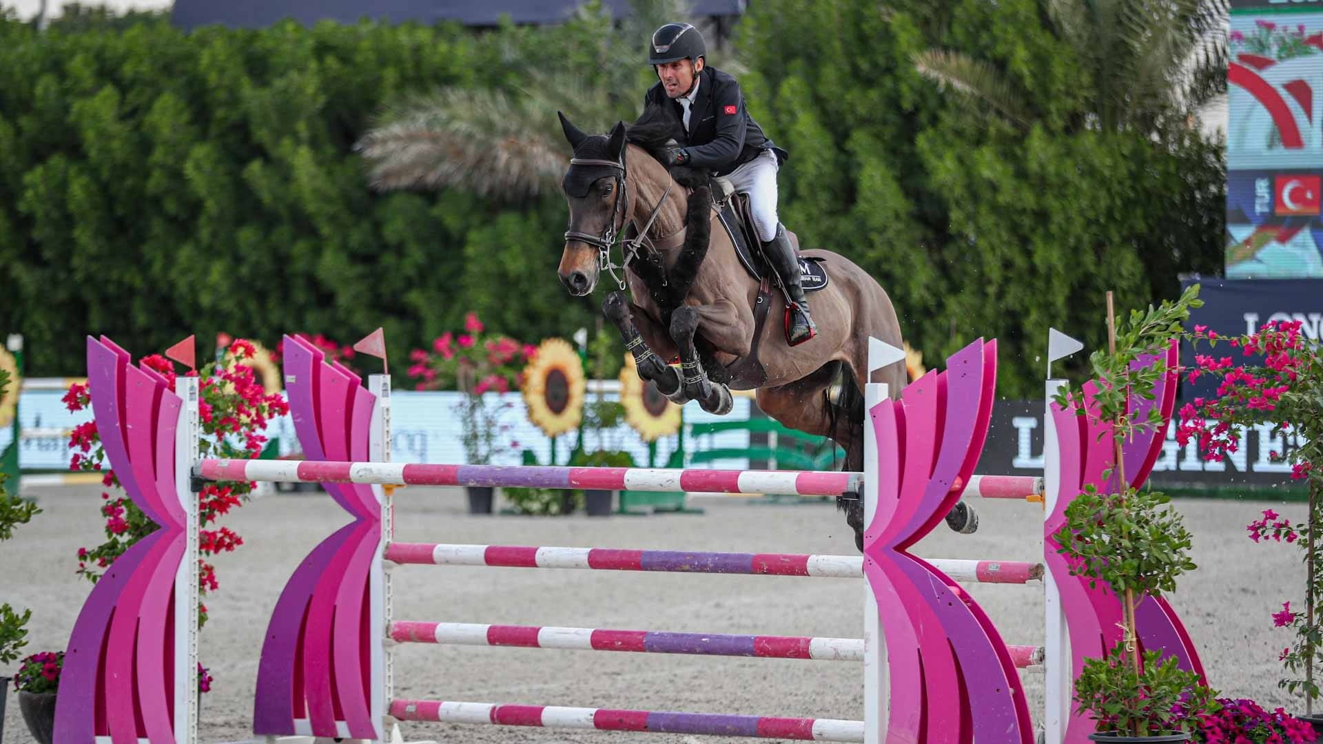 Day 2 highlights of Sharjah Nations Cup Show Jumping Championship 