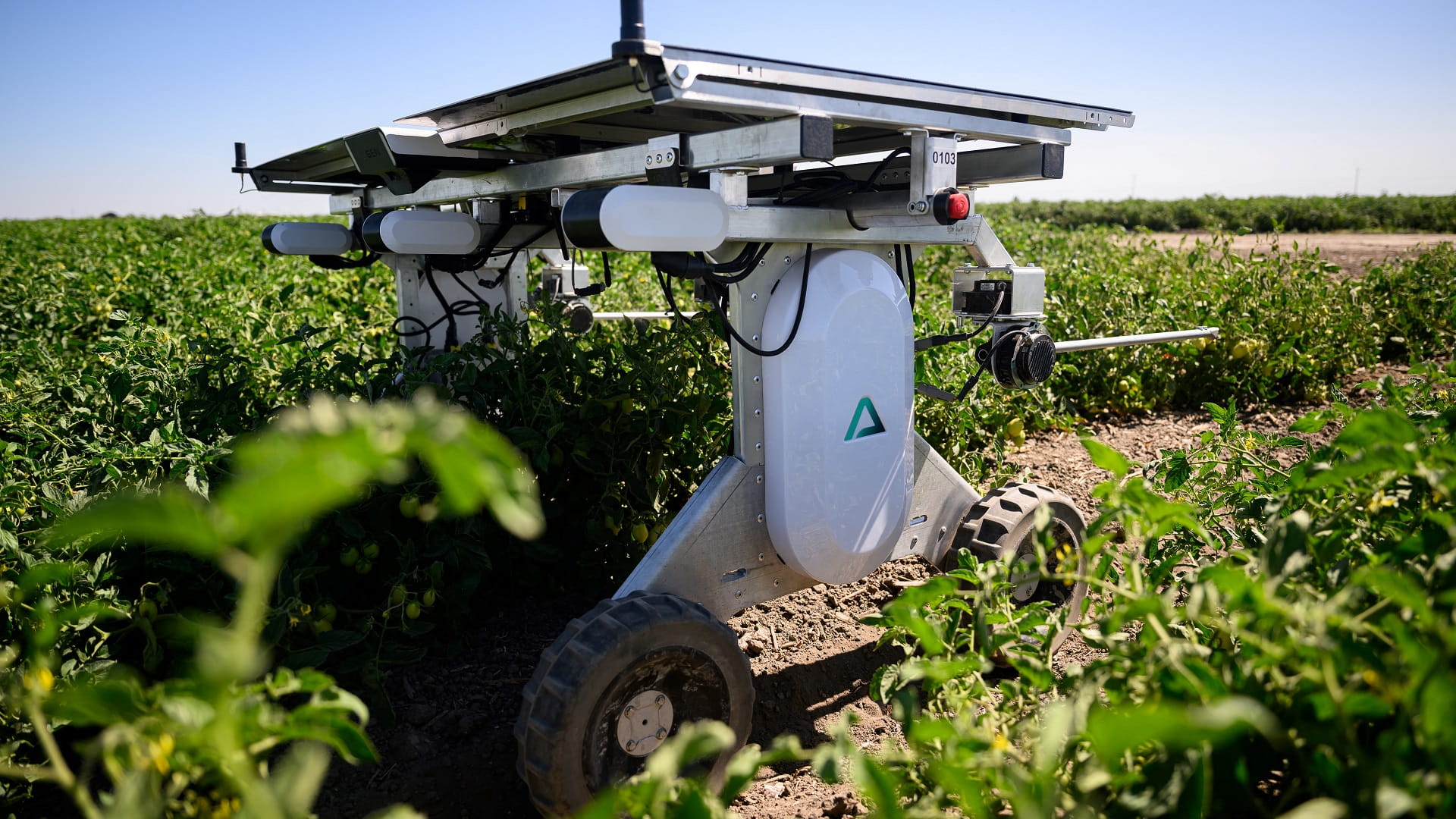 AI robots fill in for weed killers and farm hands 