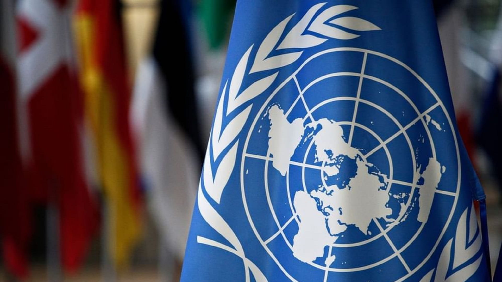 مجلس الأمن يجدد تفويض بعثة الأمم المتحدة لدعم اتفاق الحديدة في اليمن