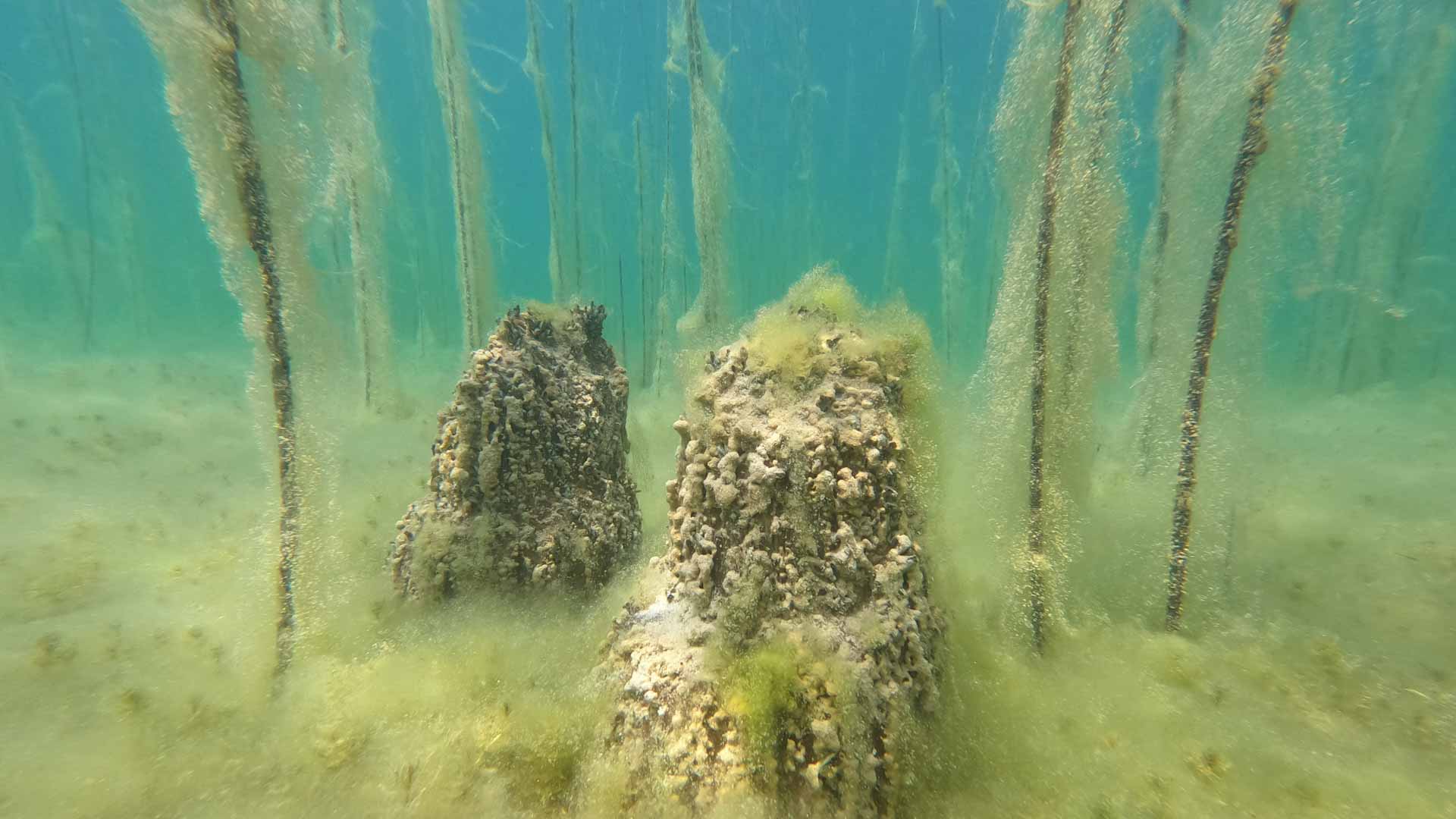 اكتشاف أقدم مستوطنة بشرية على بحيرة أوروبية في ألبانيا 