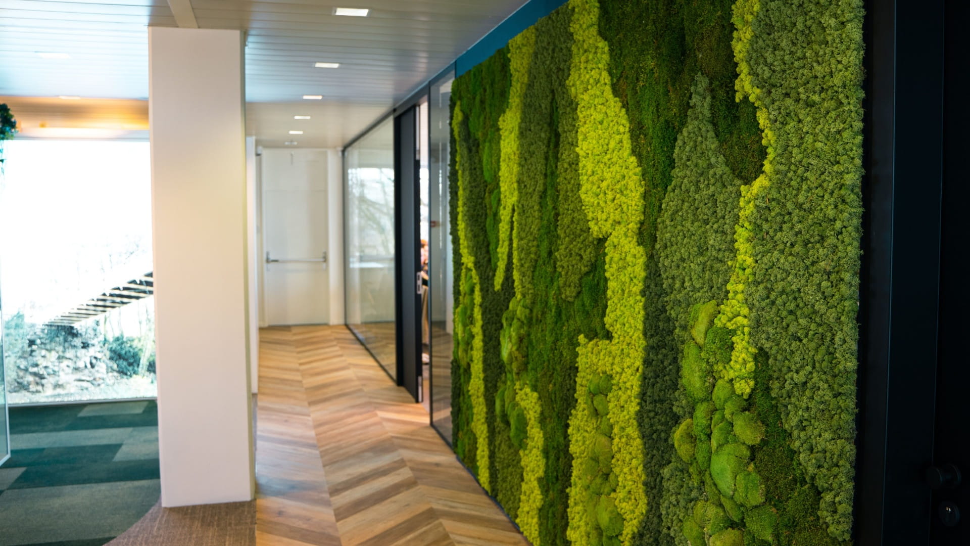 الشارقة تستثمر الفن لتعزيز الوعي بقضايا الاستدامة 